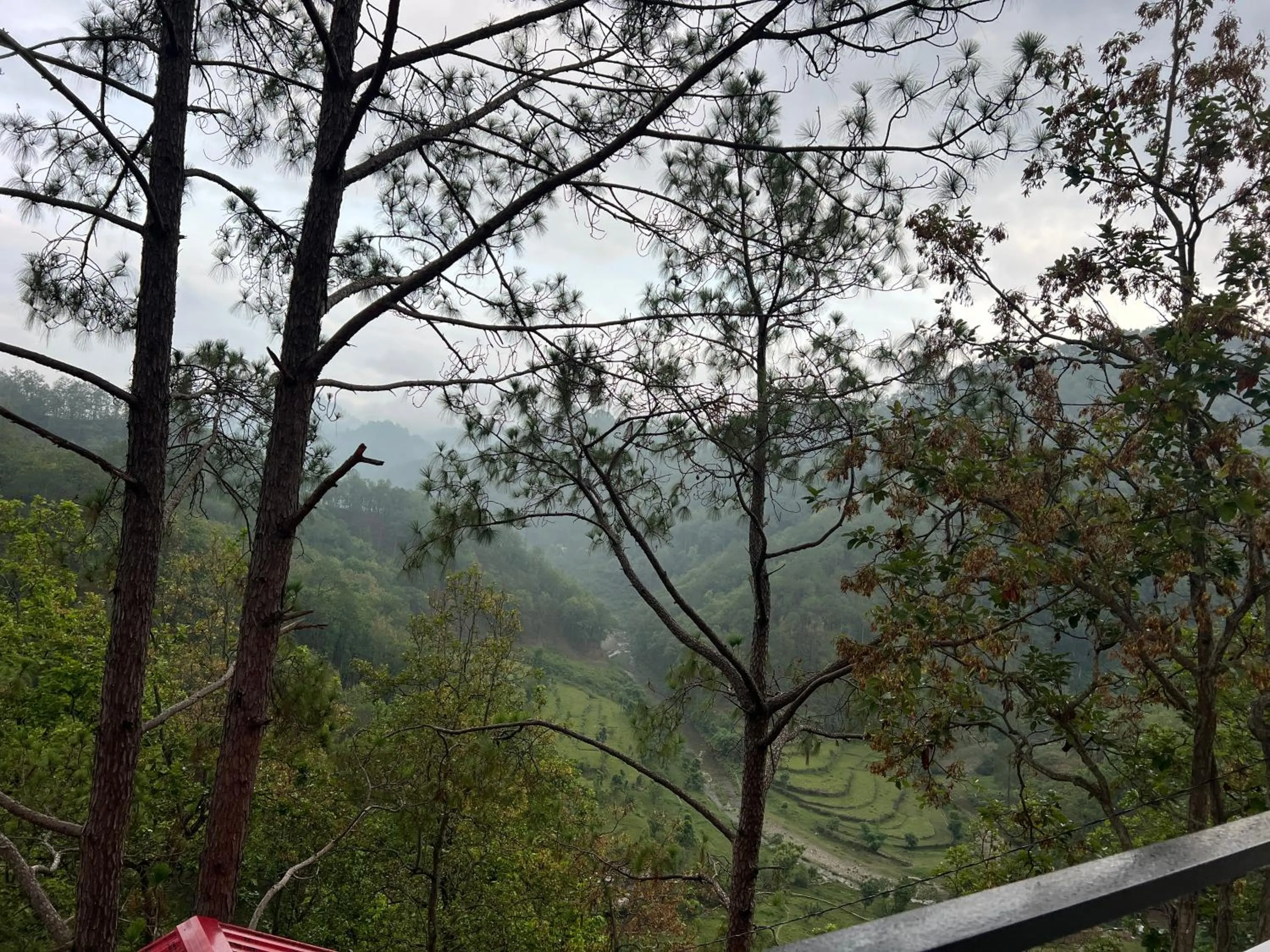 View (from property/room) in The Shalam Resort श्रीकृष्ण शरणं मम