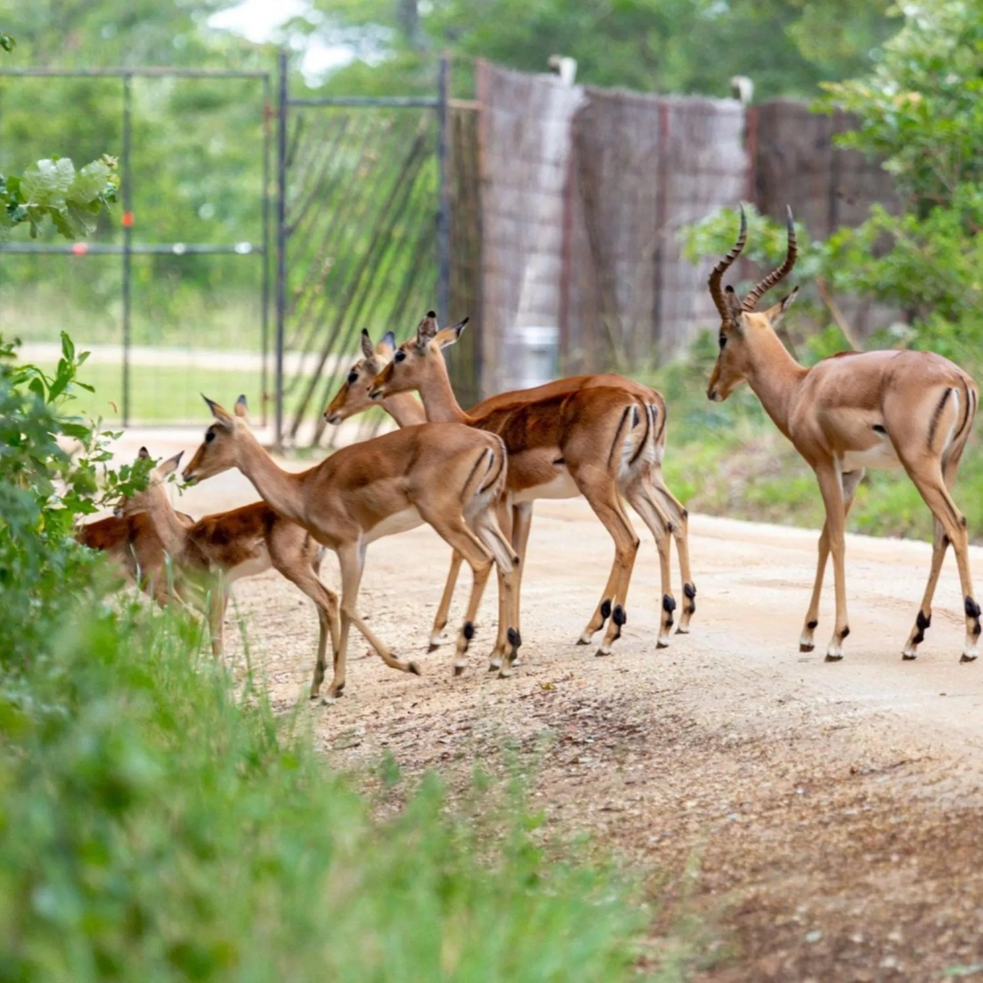 Lodge At The Ancient City