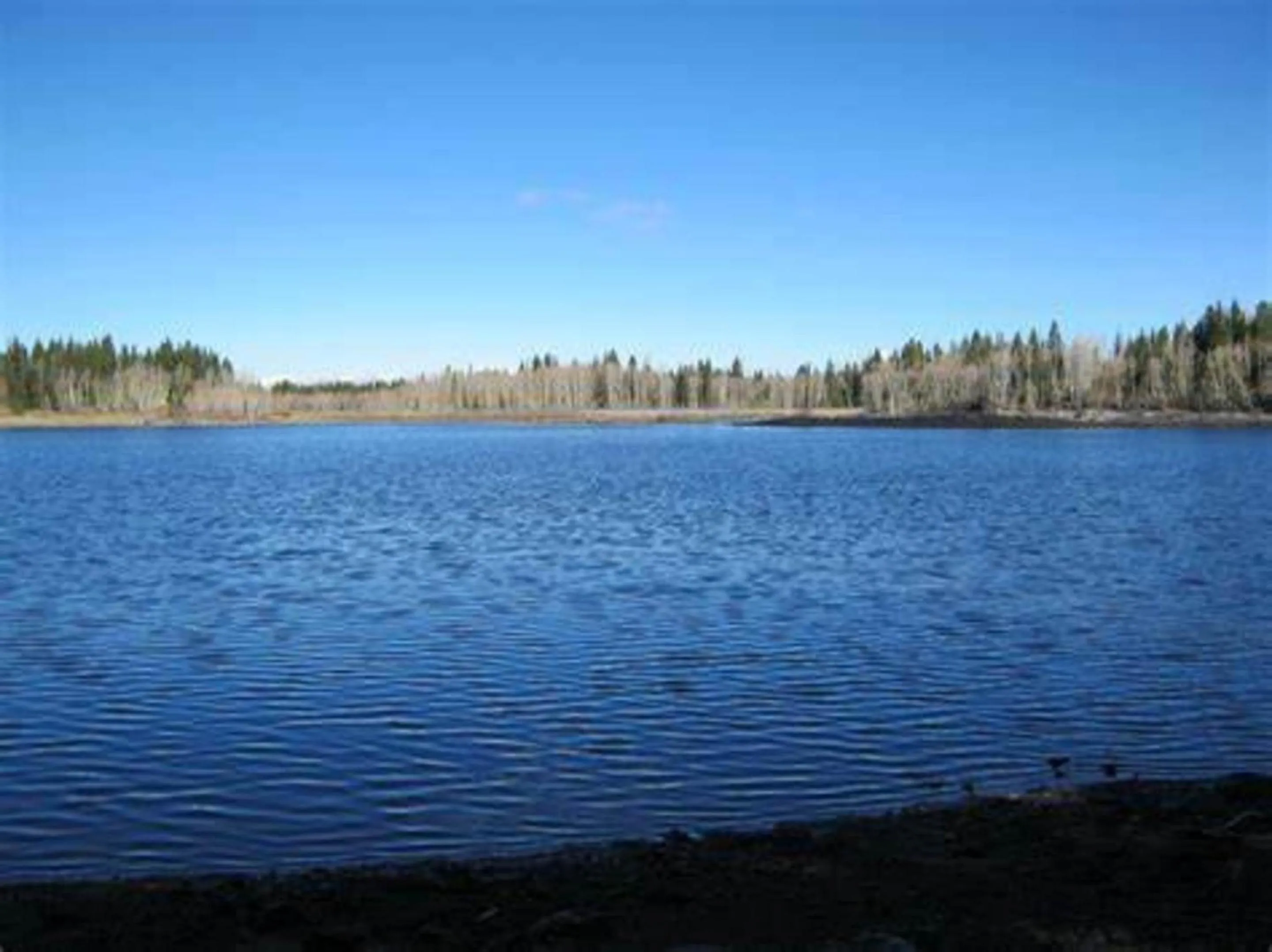 Natural landscape in Studio 6 Abilene, TX East