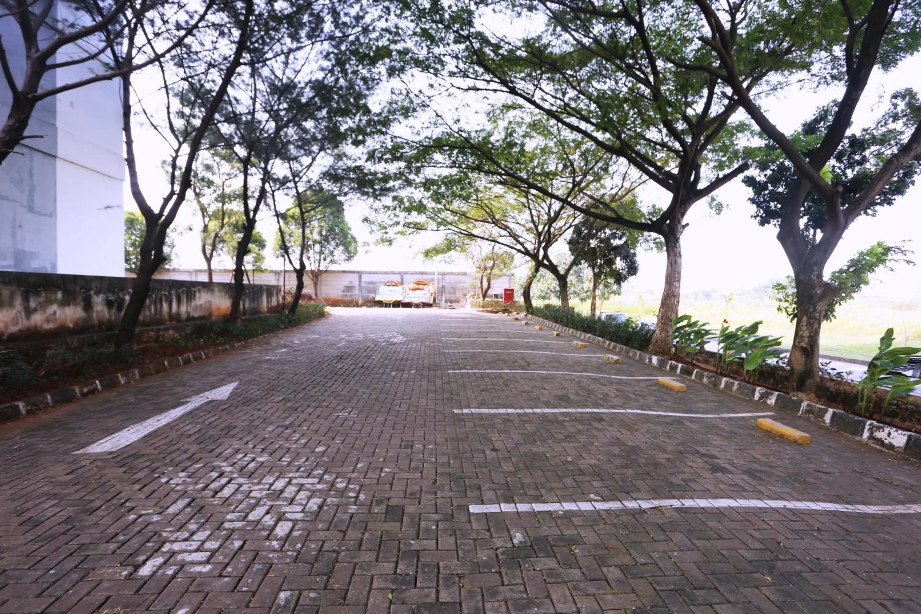 Day in Nusantara Enviro By Reccoma