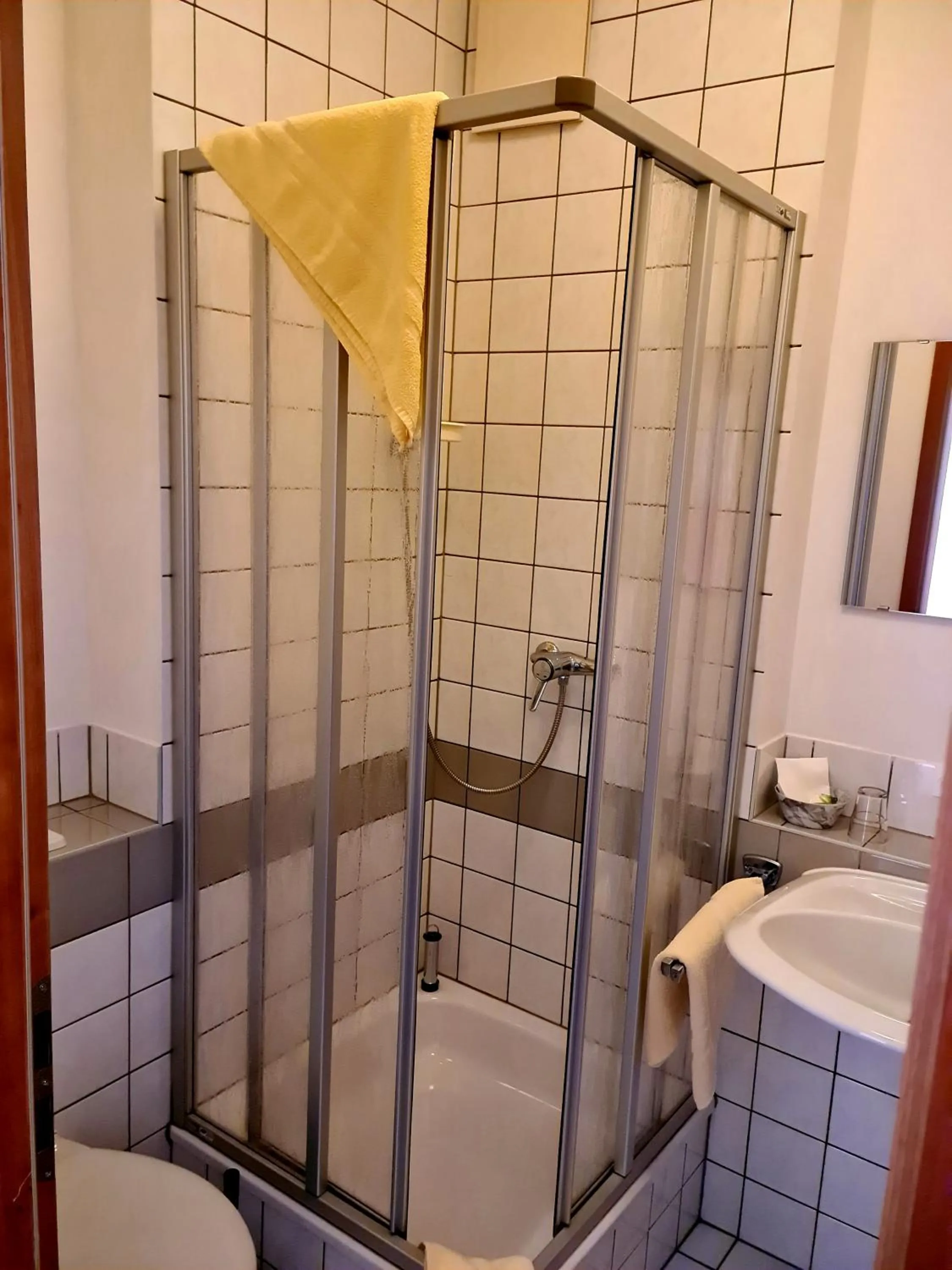 Shower in Logis Hotel Stadt Neustadt