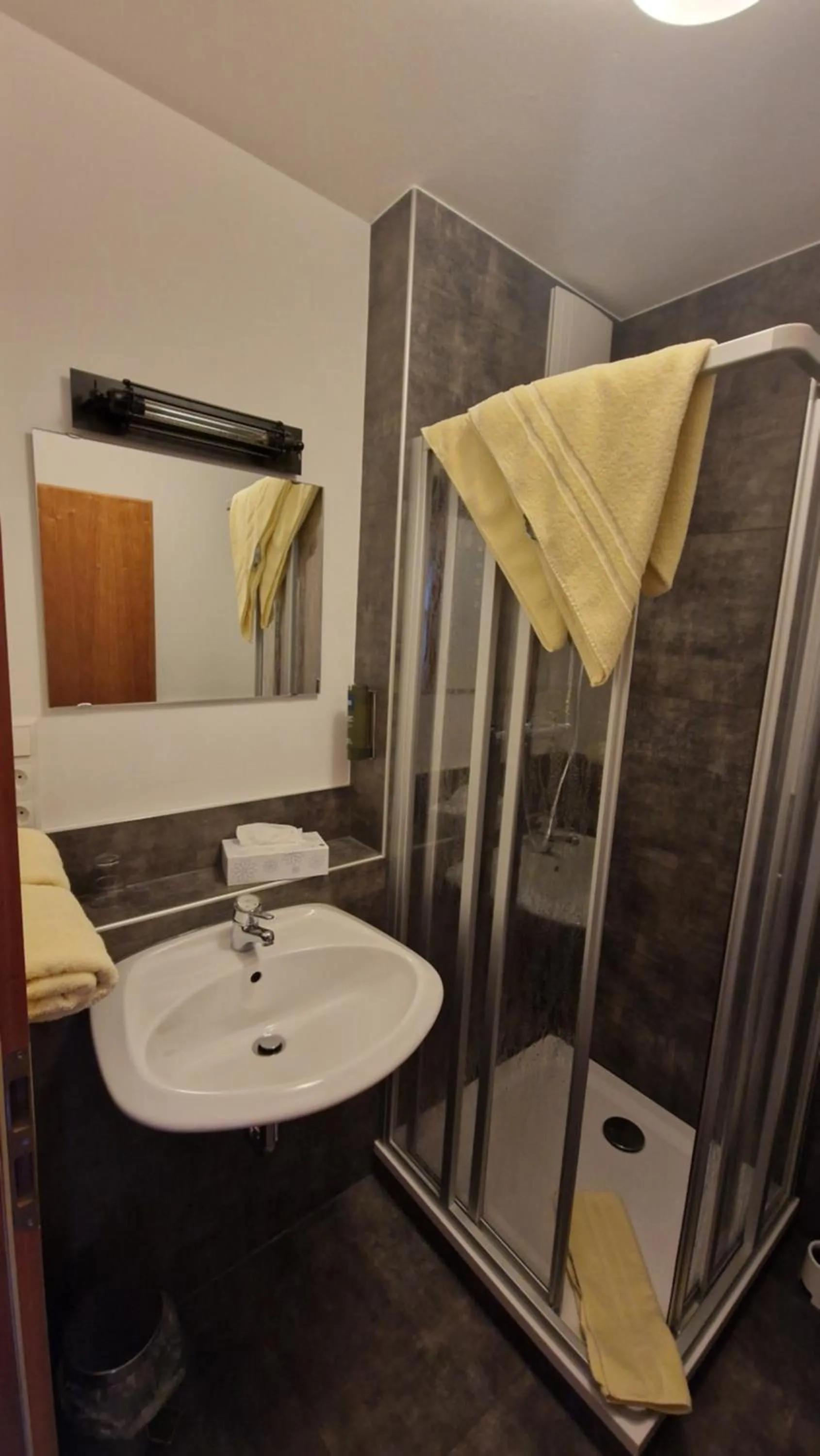 Bathroom in Logis Hotel Stadt Neustadt