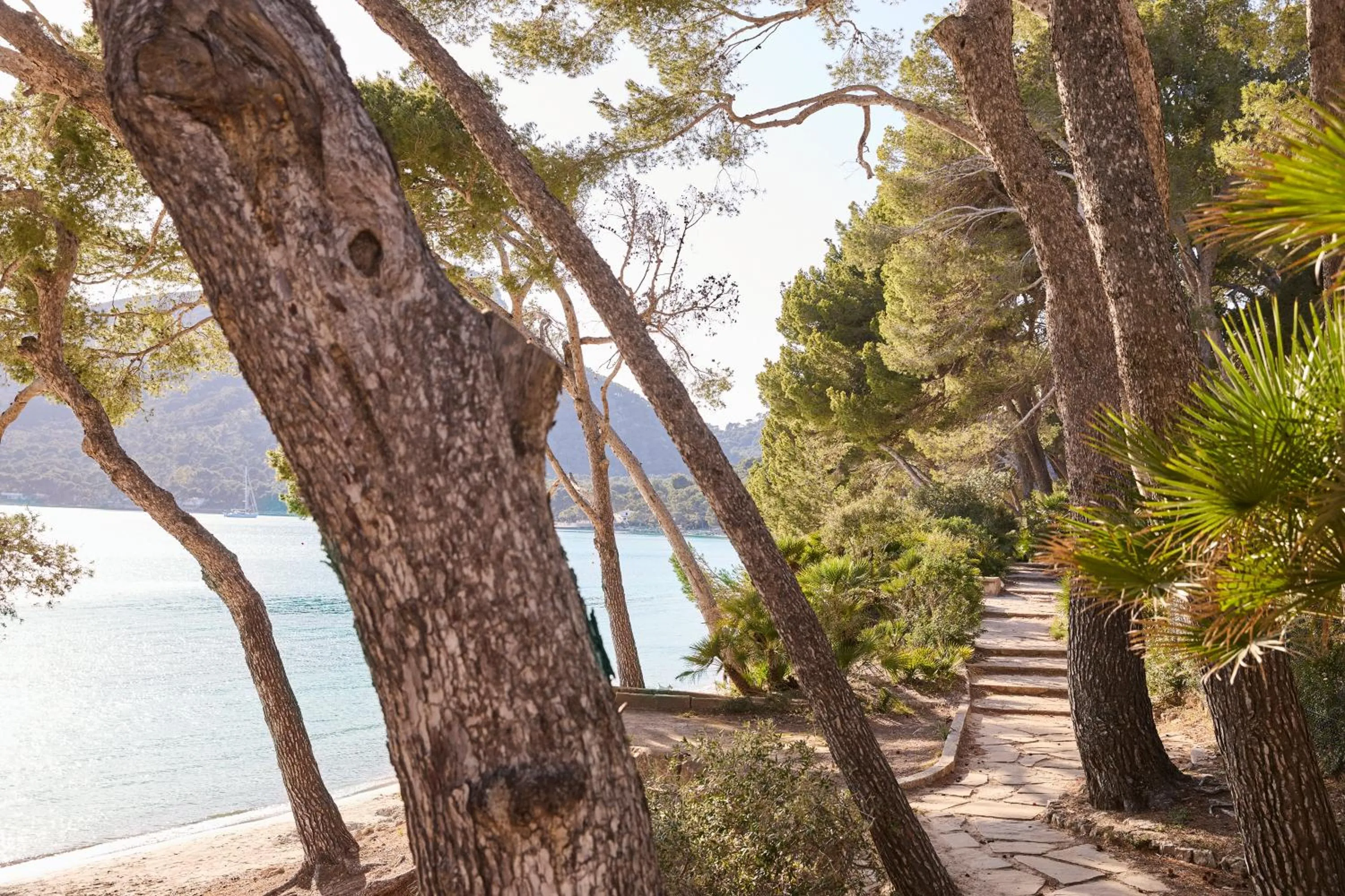 Beach in Four Seasons Resort Mallorca at Formentor