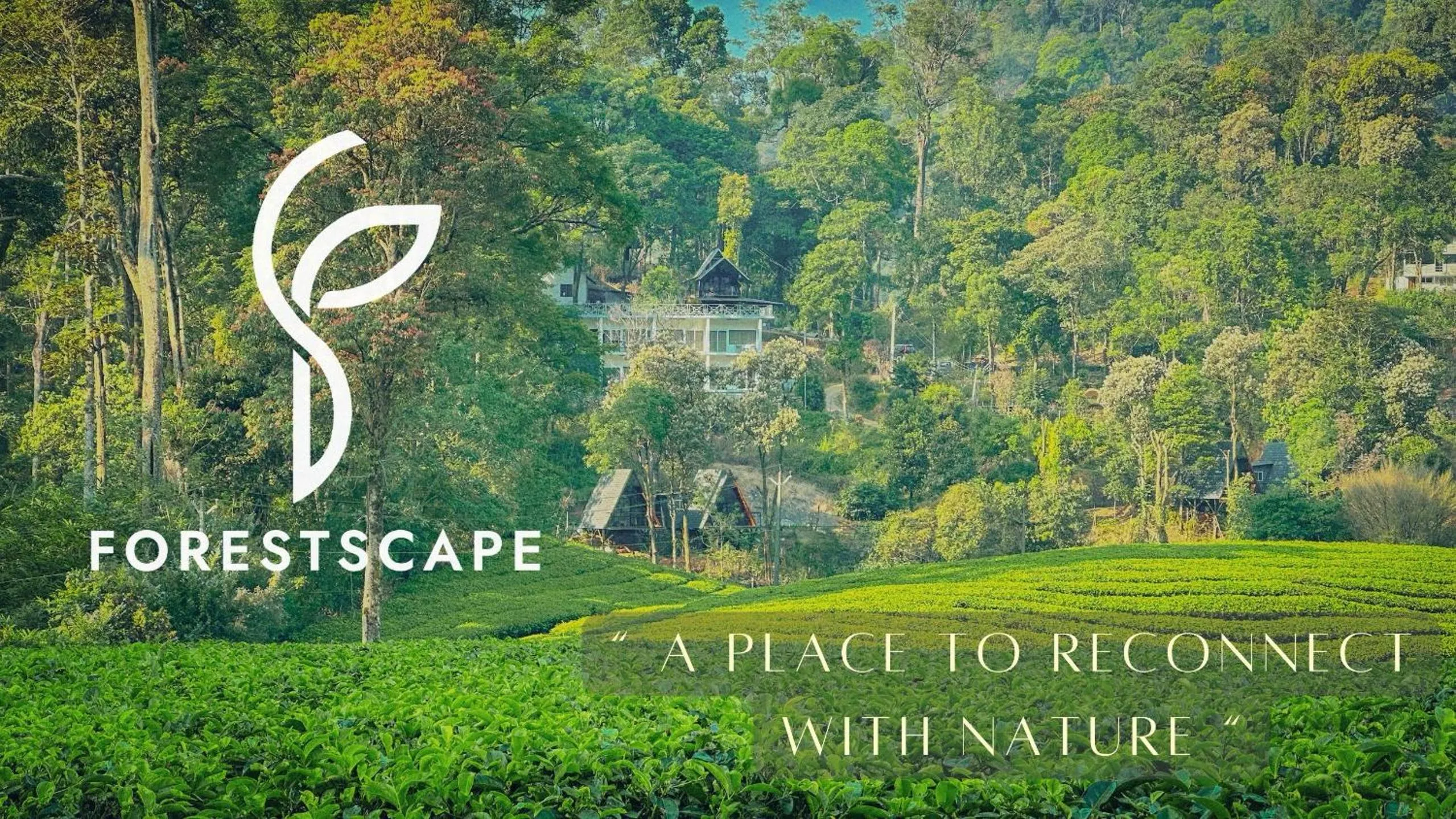 Nearby landmark in Forestscape Resort Munnar