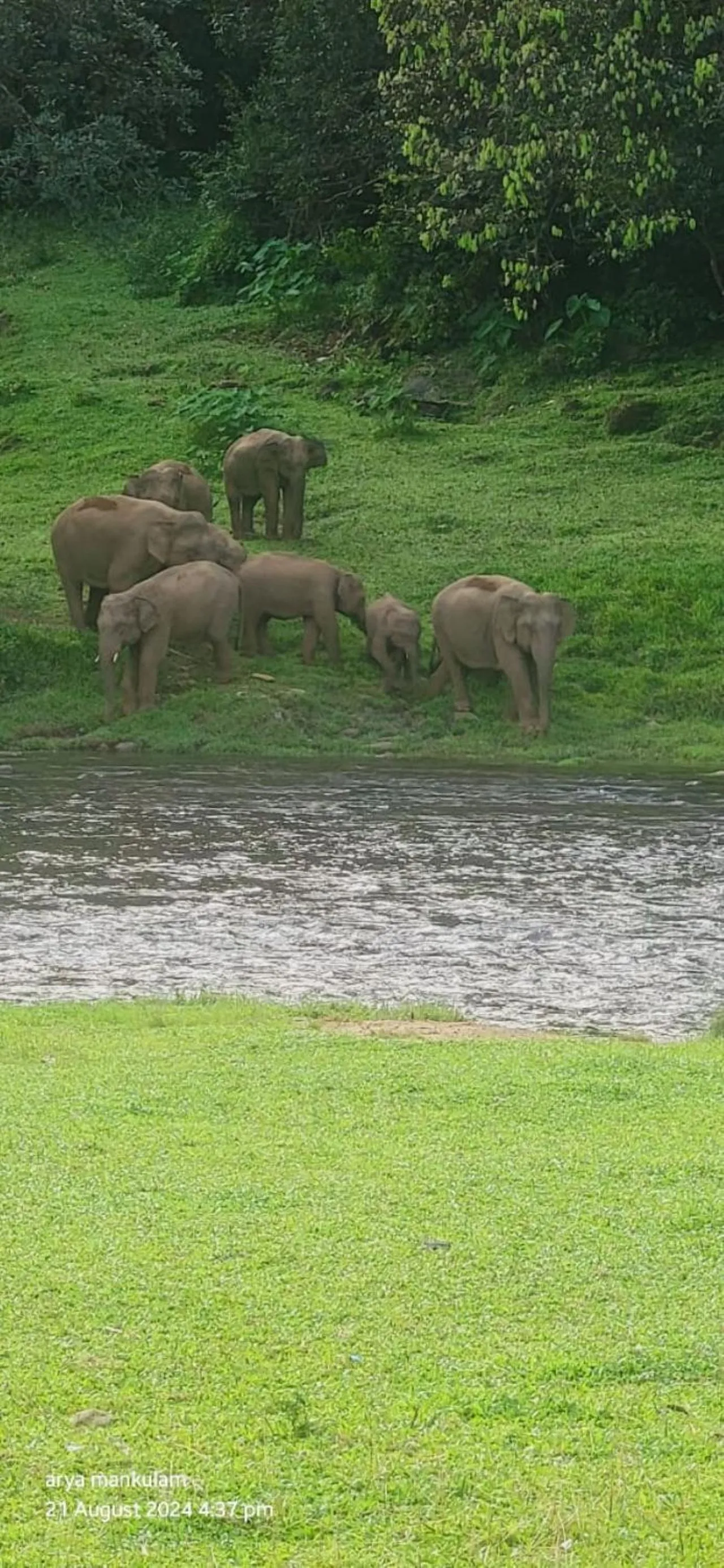 Nearby landmark in Forestscape Resort Munnar