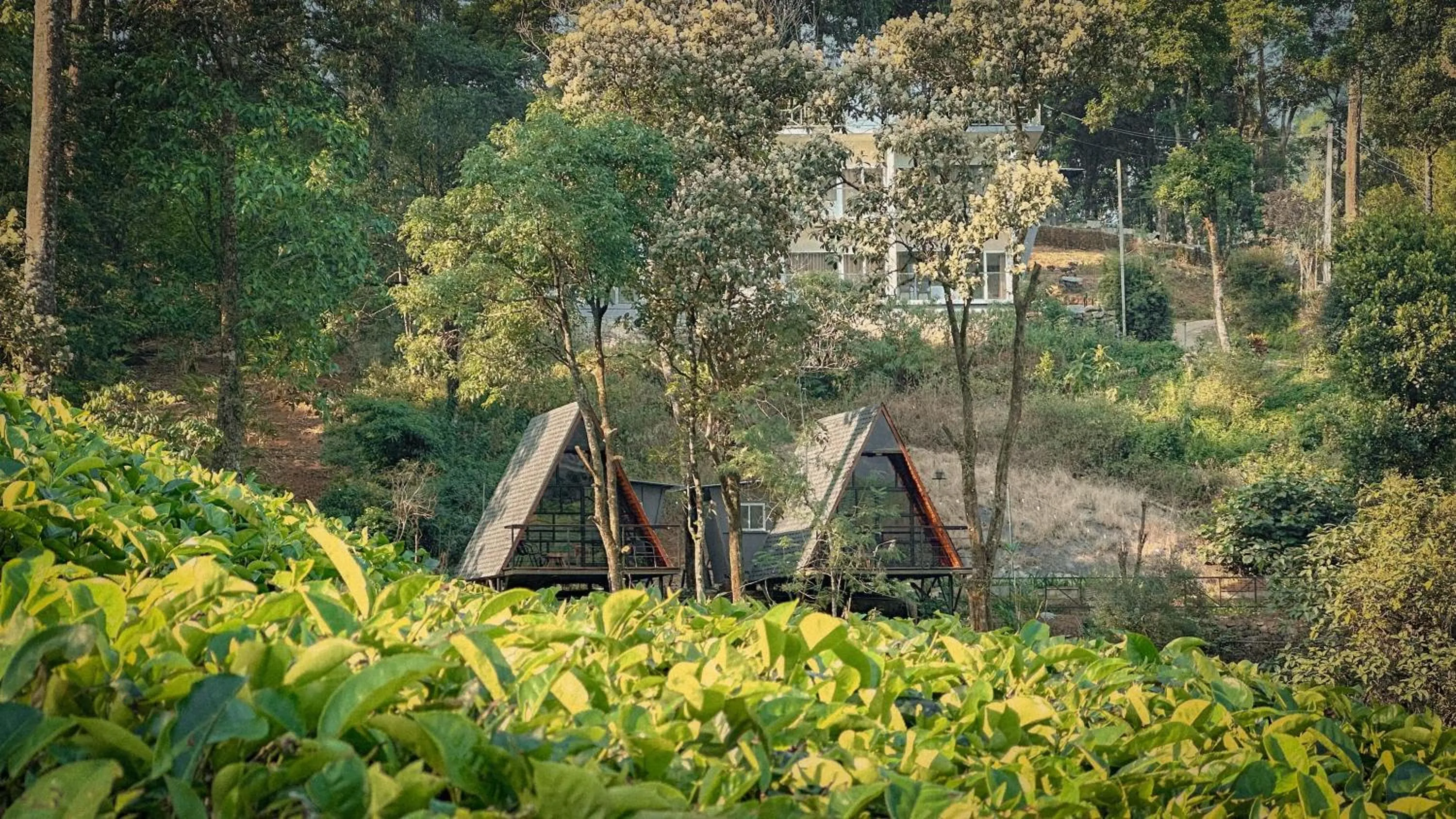 Natural landscape in Forestscape Resort Munnar