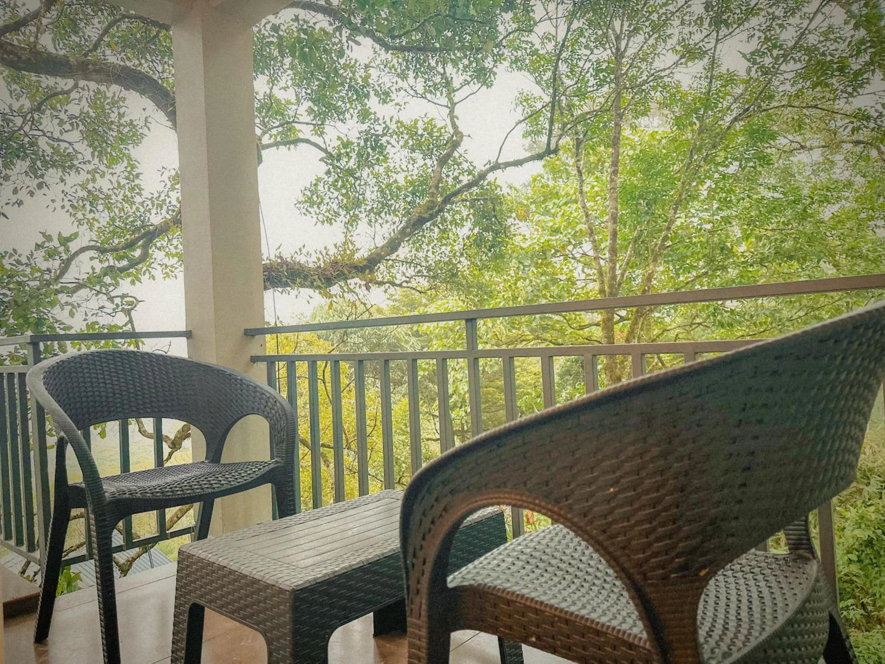 Balcony/Terrace in Forestscape Resort Munnar