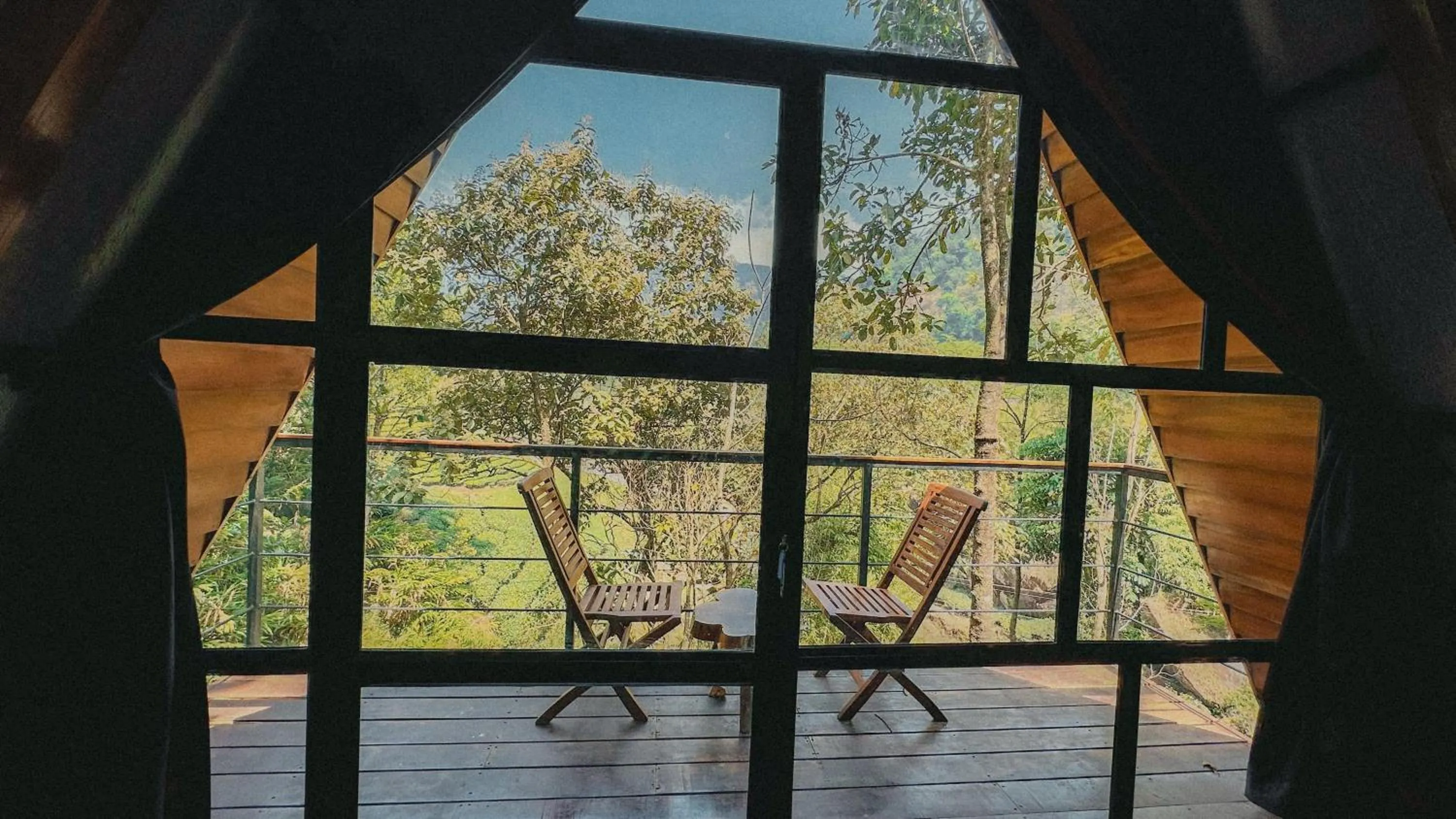 View (from property/room) in Forestscape Resort Munnar