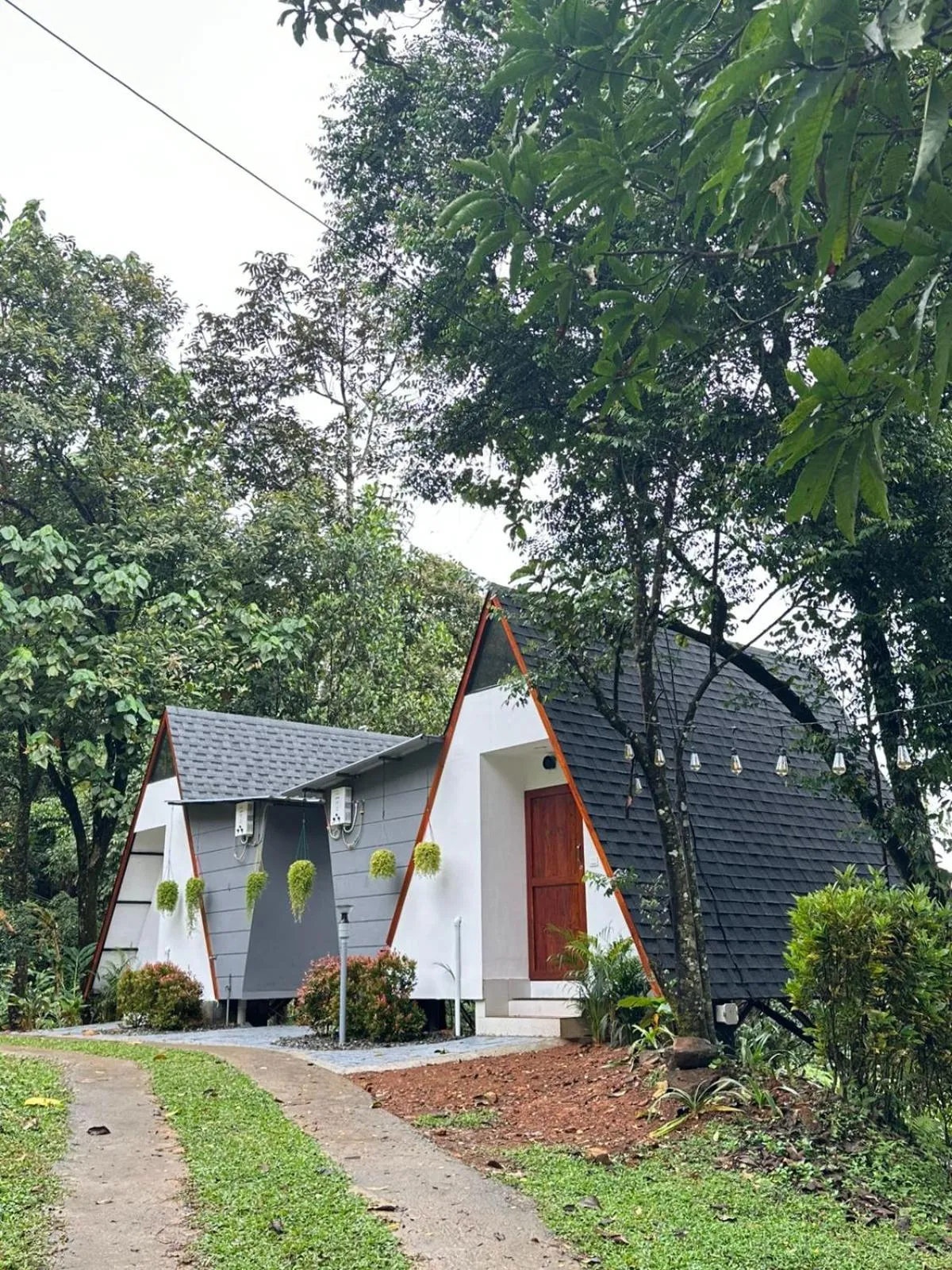 Property building in Forestscape Resort Munnar