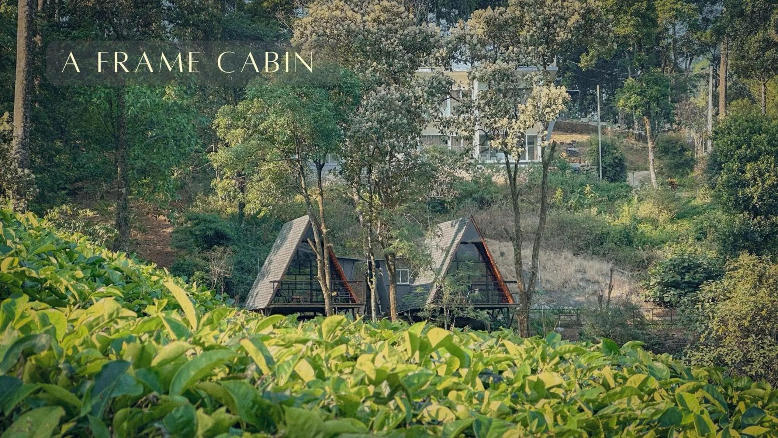 Day in Forestscape Resort Munnar