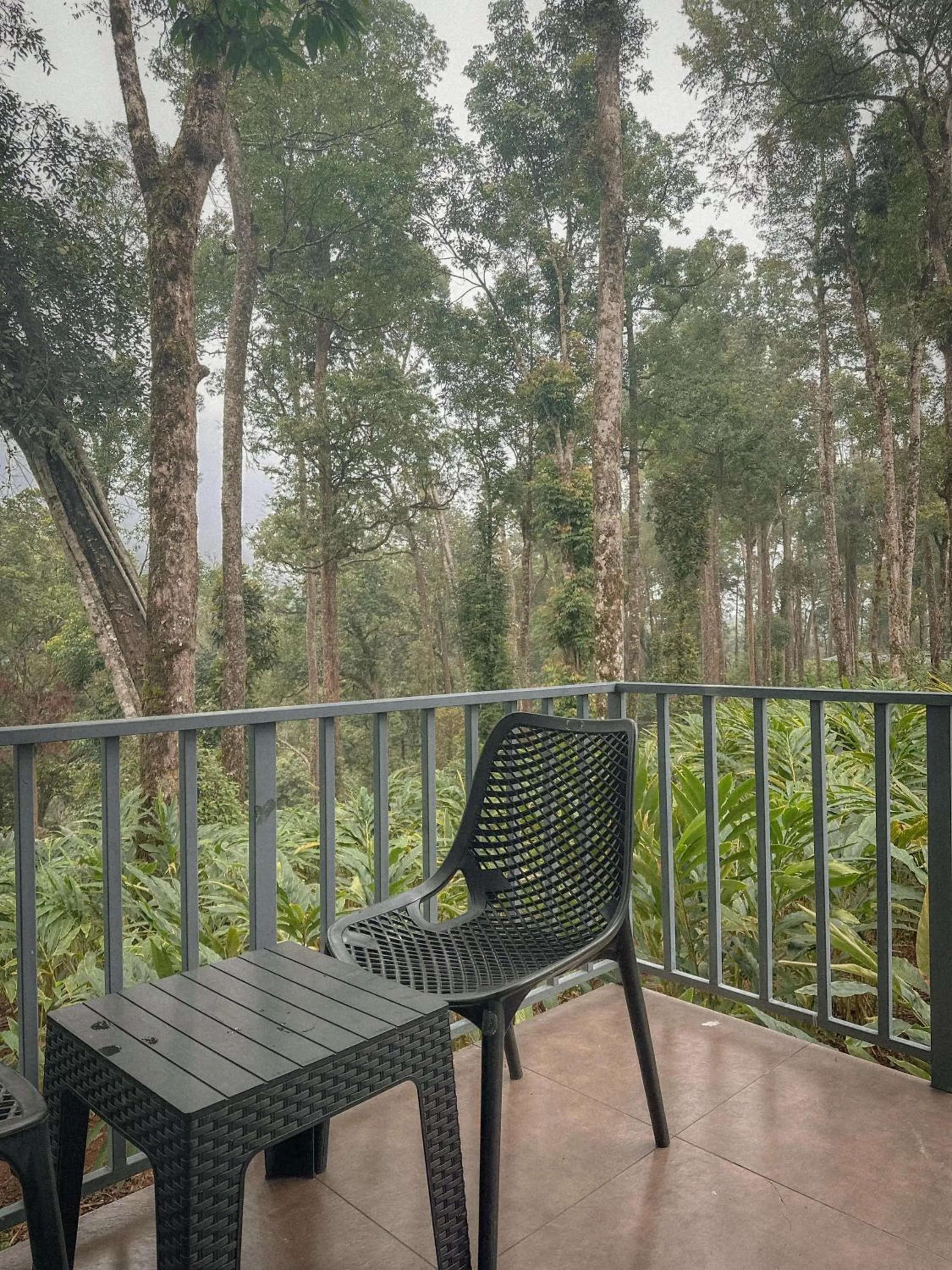 Balcony/Terrace in Forestscape Resort Munnar