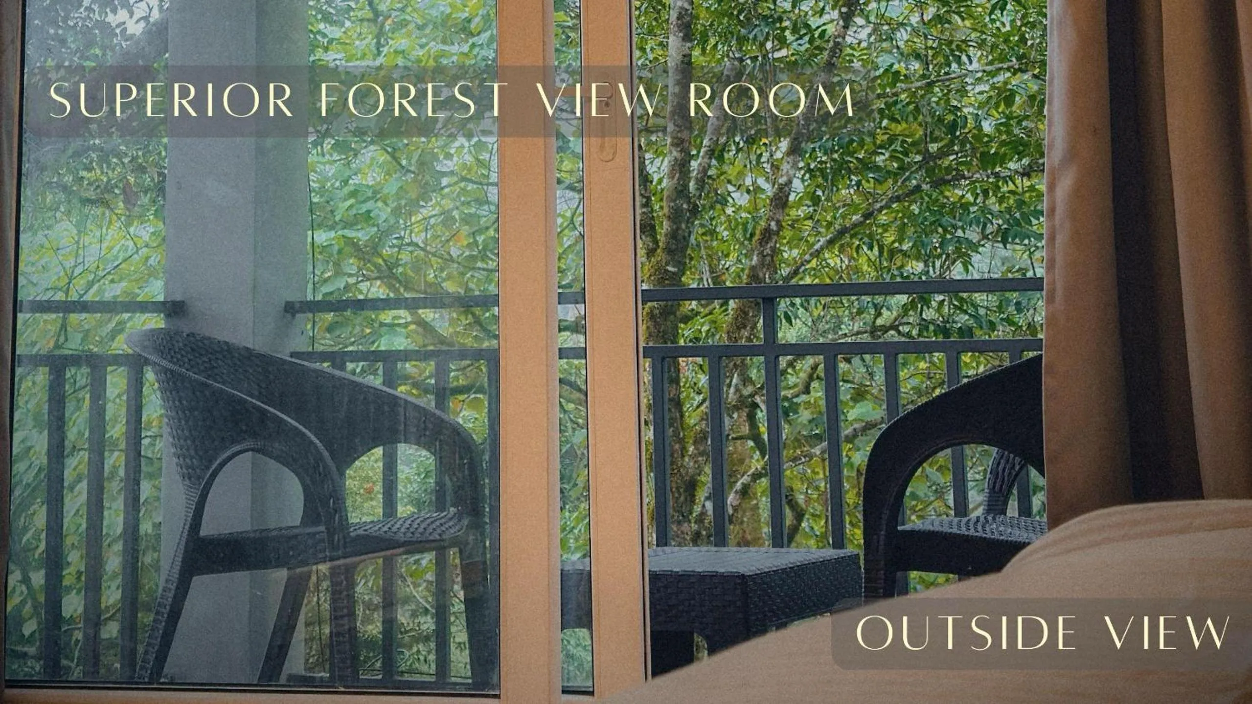 Balcony/Terrace in Forestscape Resort Munnar