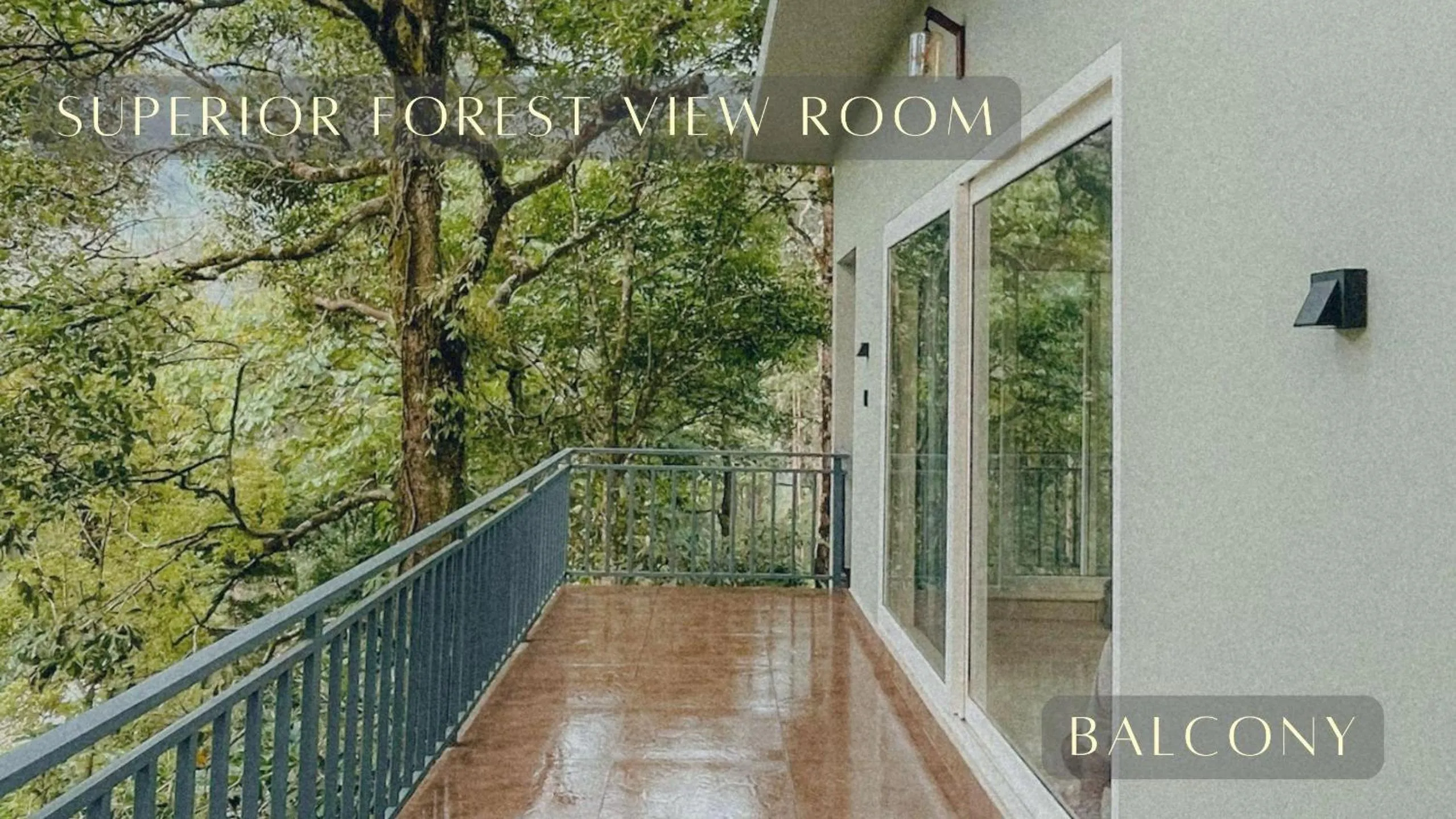 View (from property/room) in Forestscape Resort Munnar