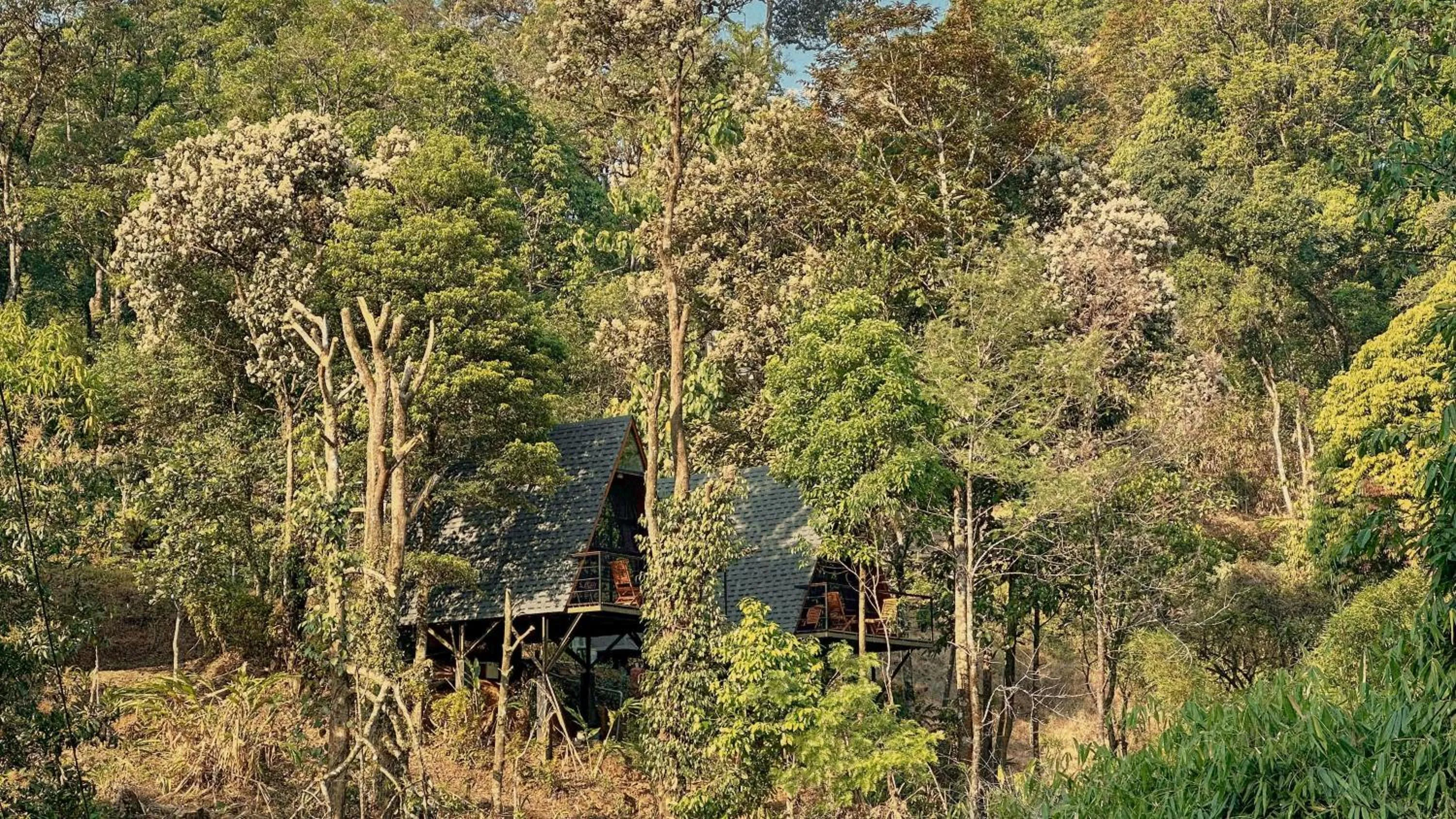 Natural landscape in Forestscape Resort Munnar