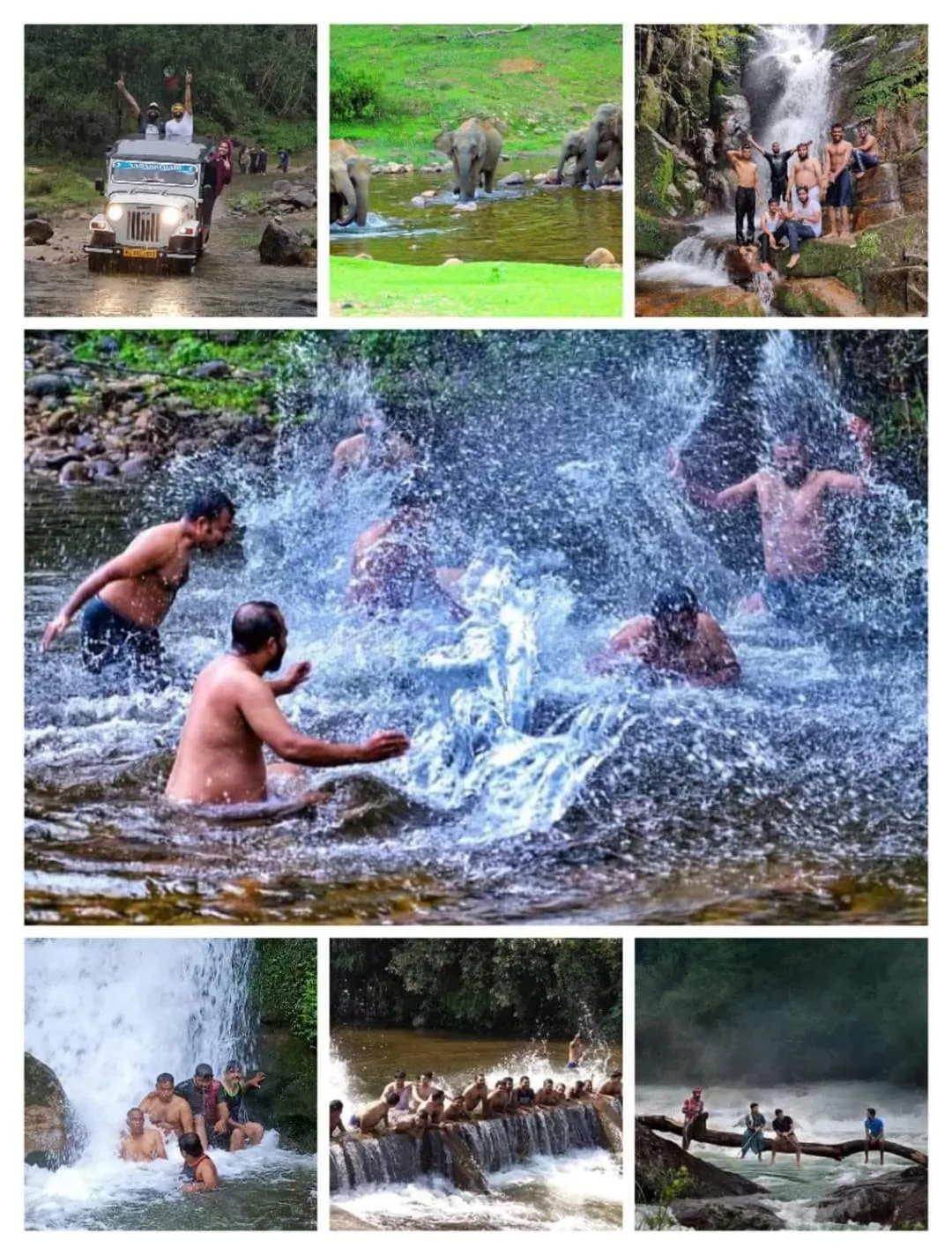 Activities in Forestscape Resort Munnar