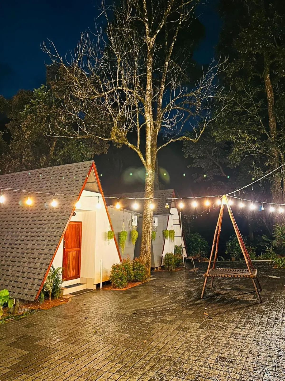 Night in Forestscape Resort Munnar