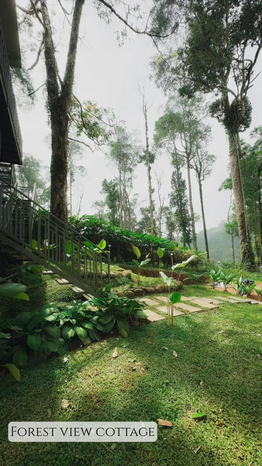 Garden in Forestscape Resort Munnar