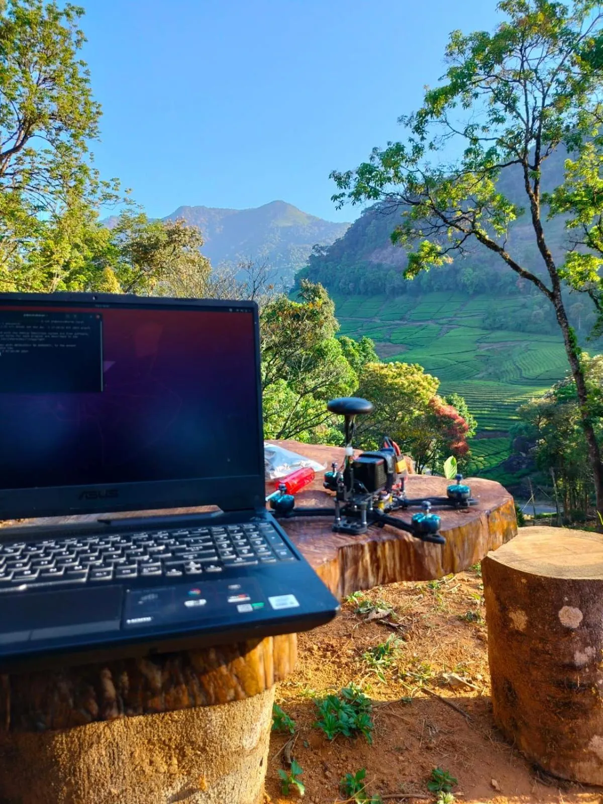 Activities in Forestscape Resort Munnar