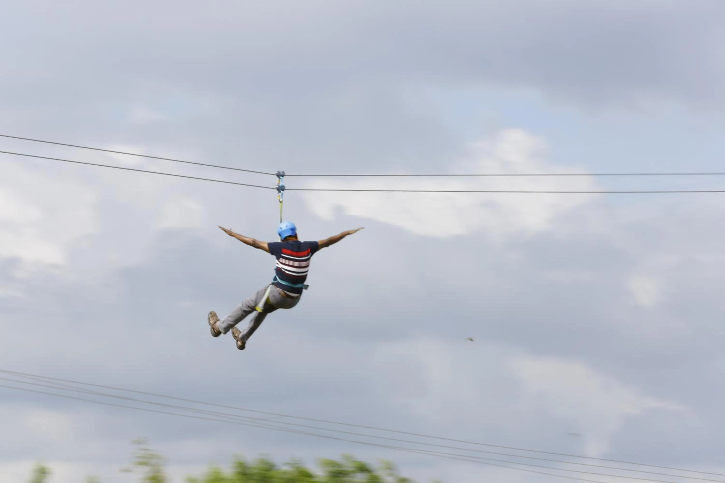 Day in Champions Ranch