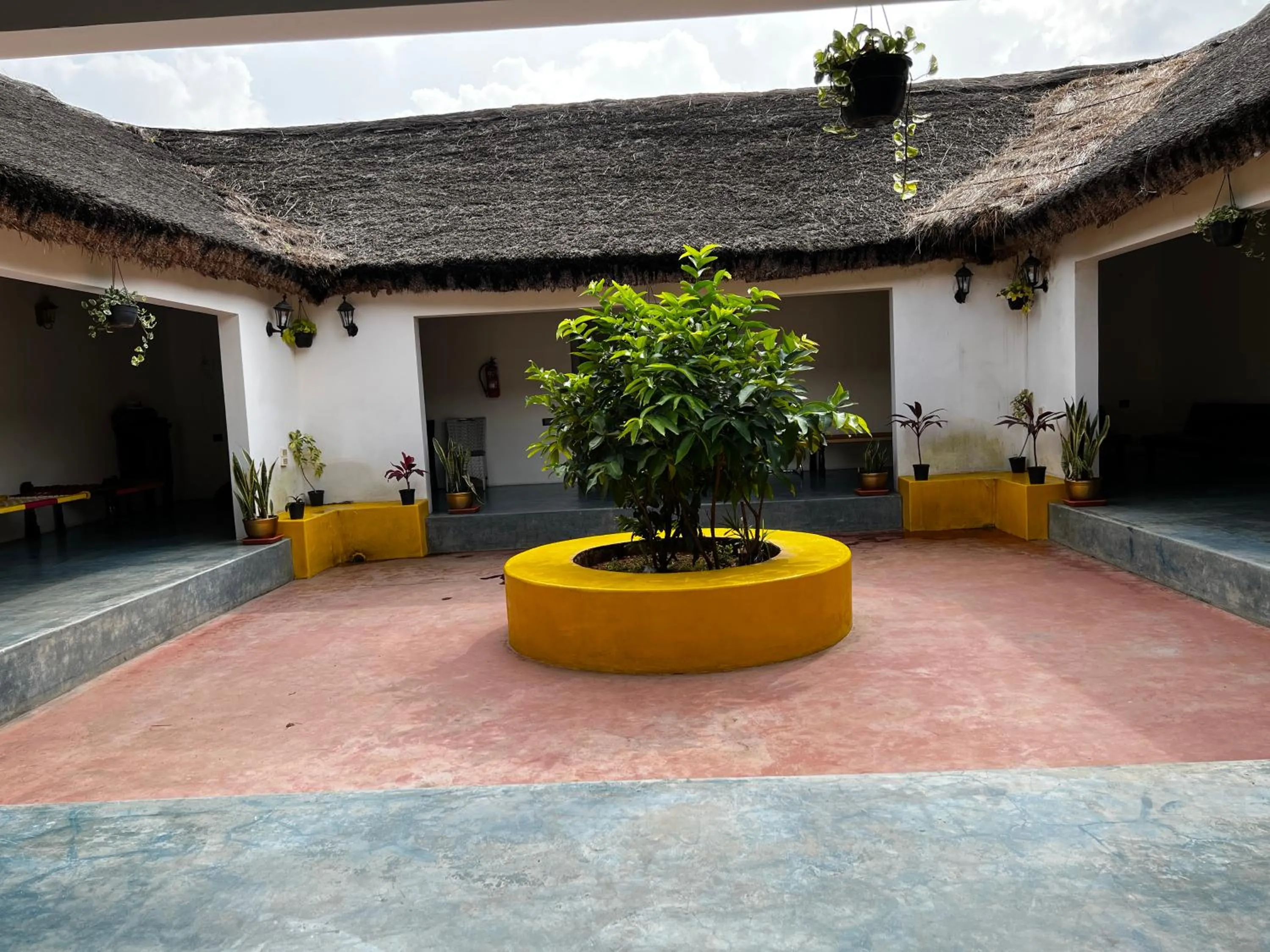 Patio in Champions Ranch