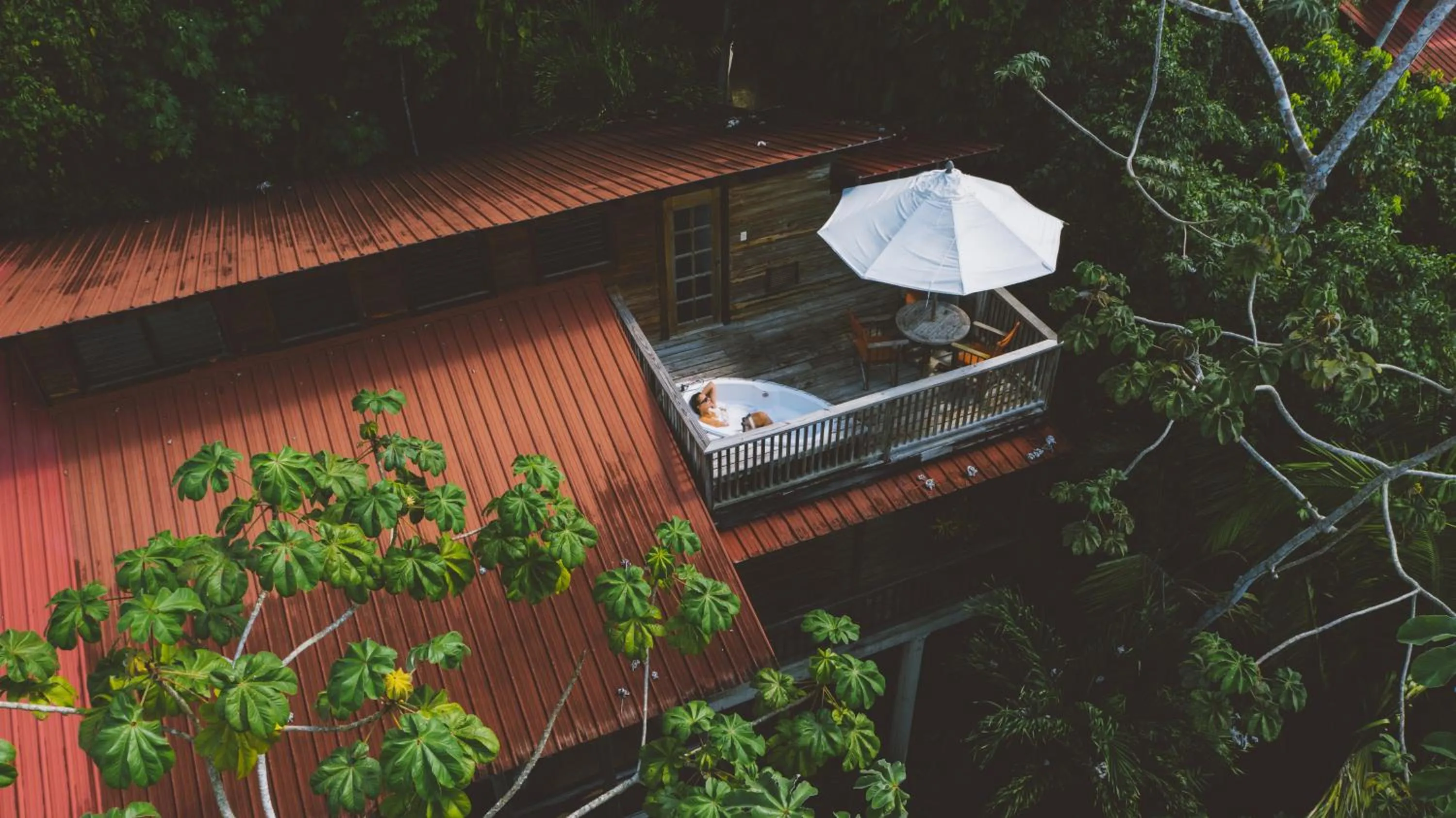 Ian Anderson Caves Branch Jungle Lodge