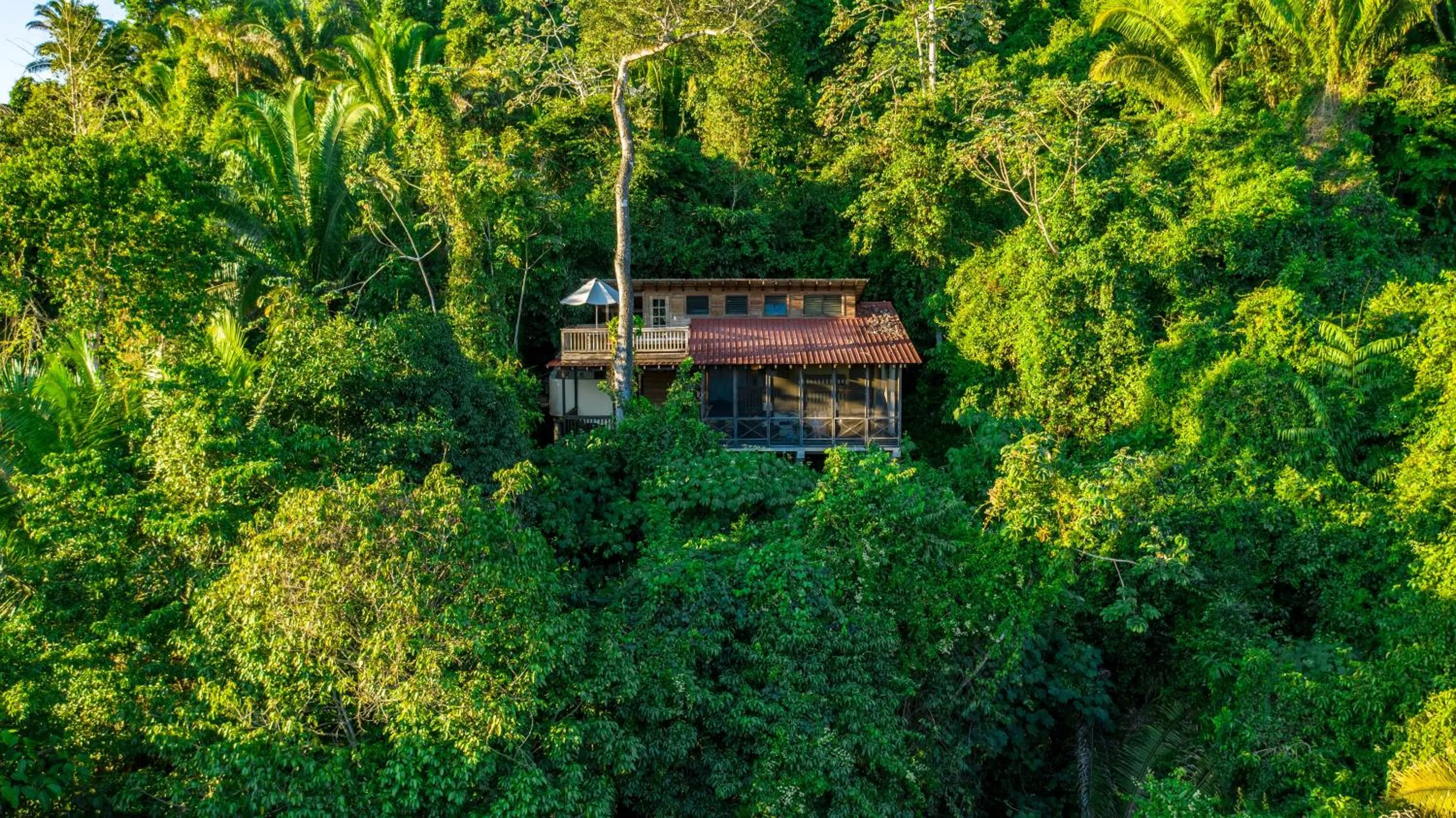 Ian Anderson Caves Branch Jungle Lodge