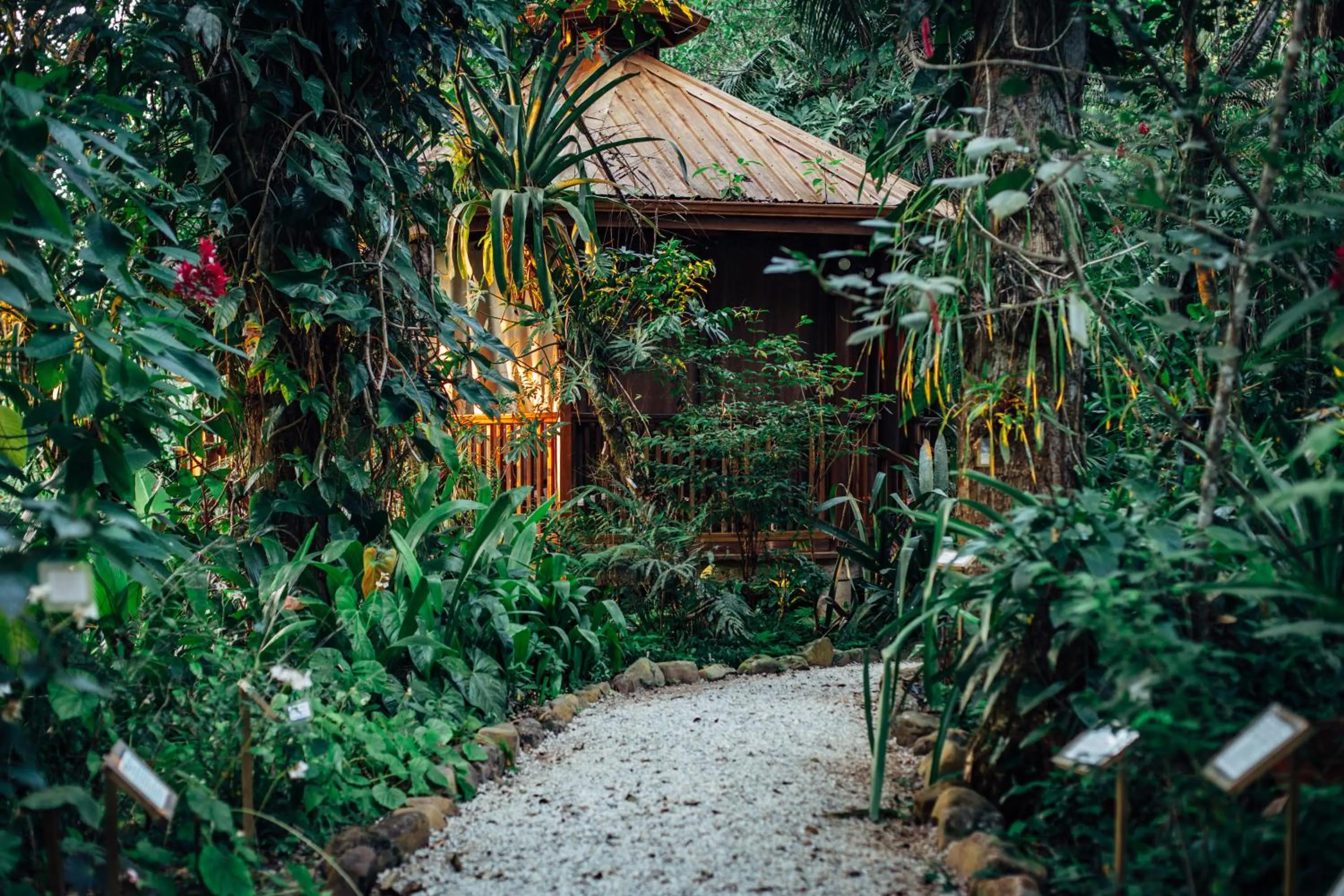 Ian Anderson Caves Branch Jungle Lodge