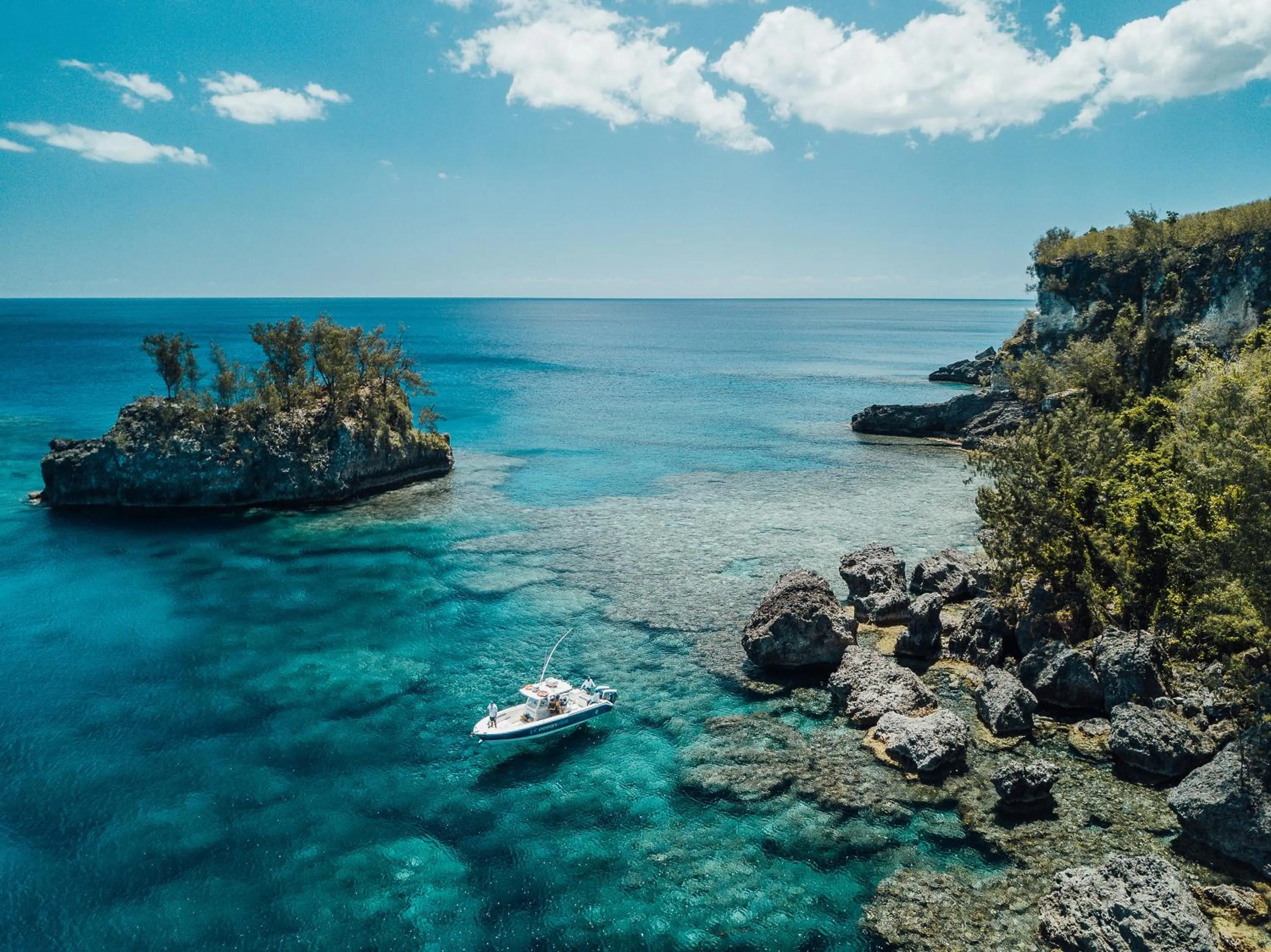 Snorkeling in Trees and Fishes Private Retreat