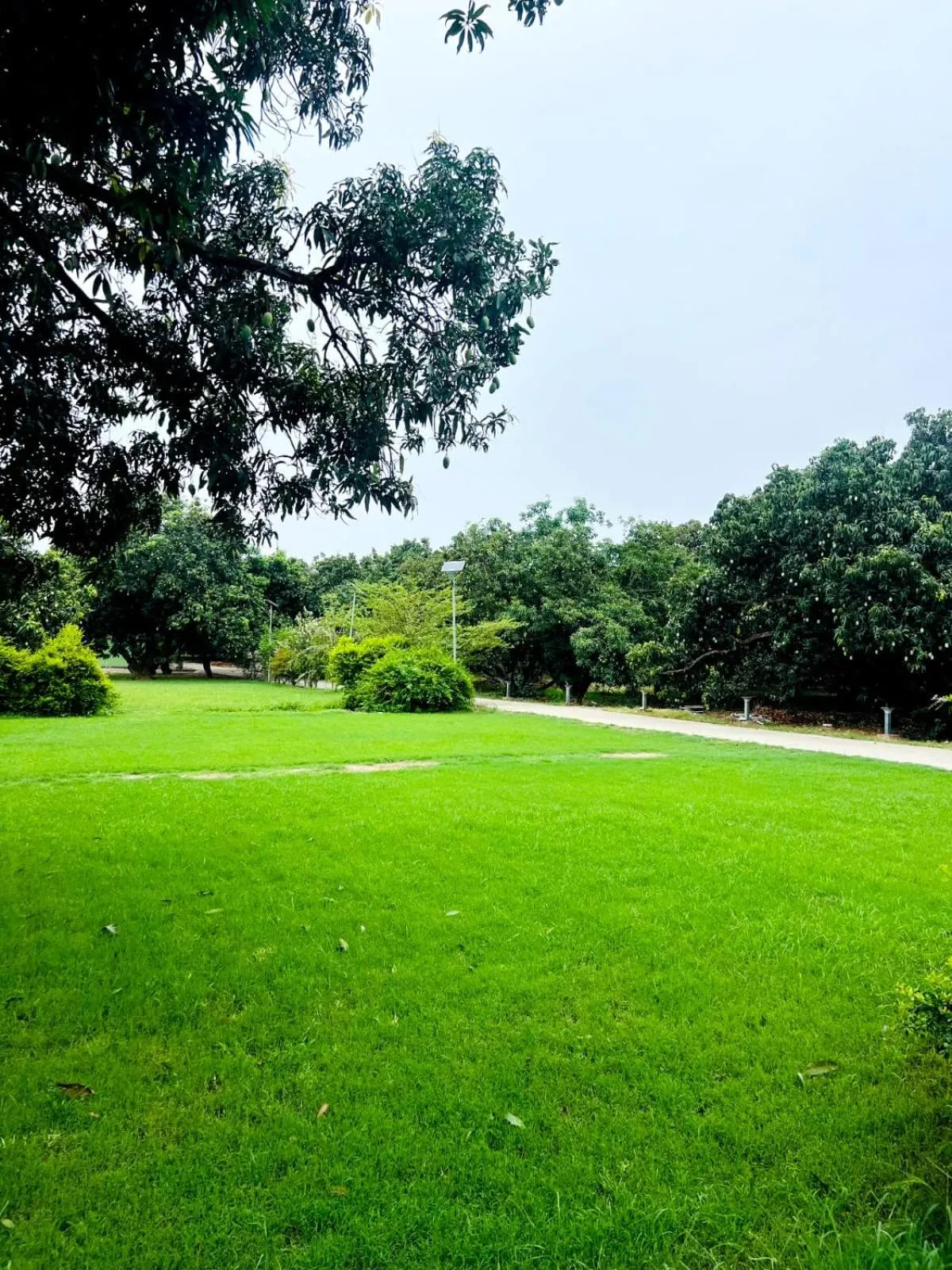 Garden view in The Greenwich resort