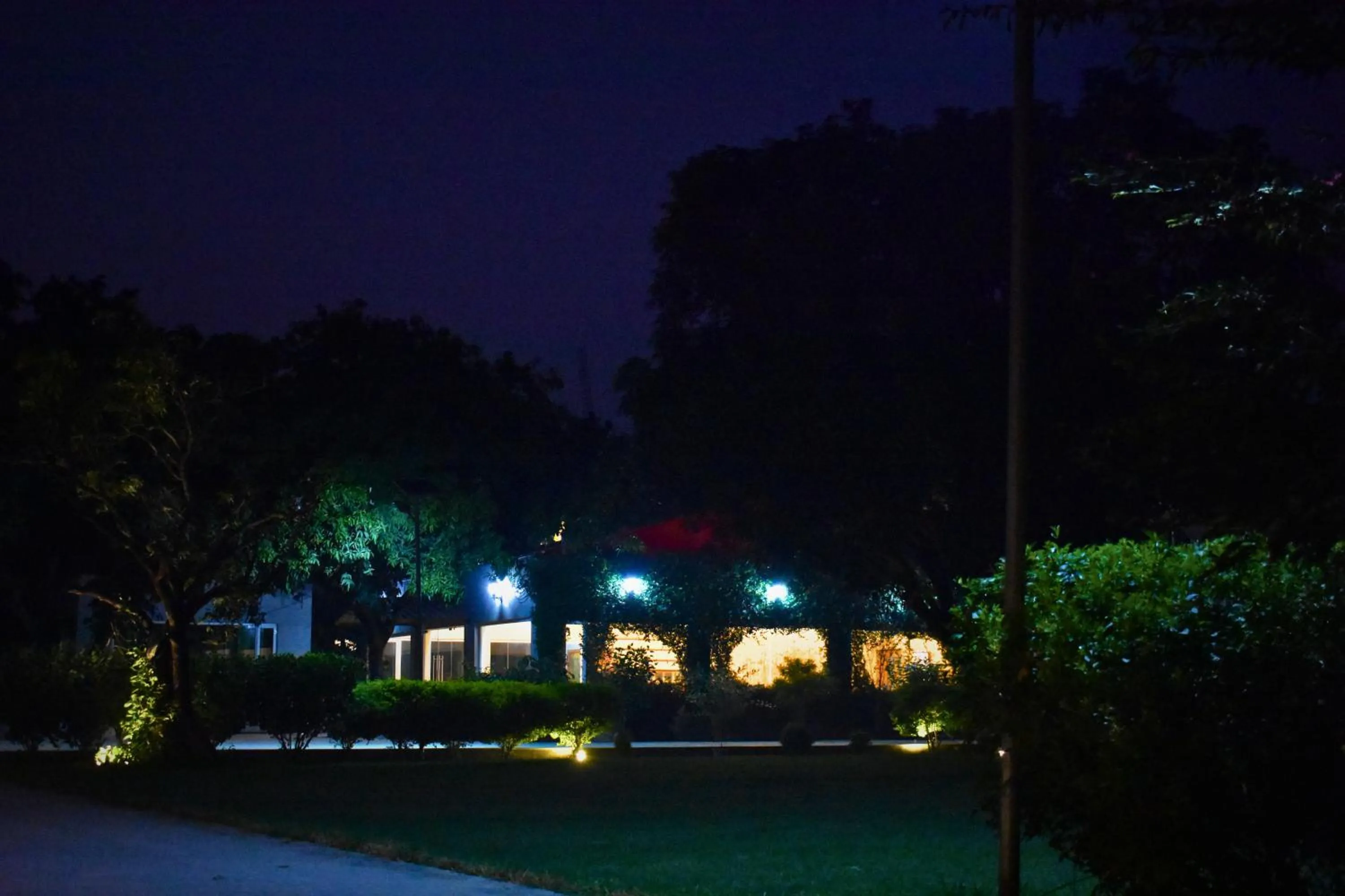 Night in The Greenwich resort