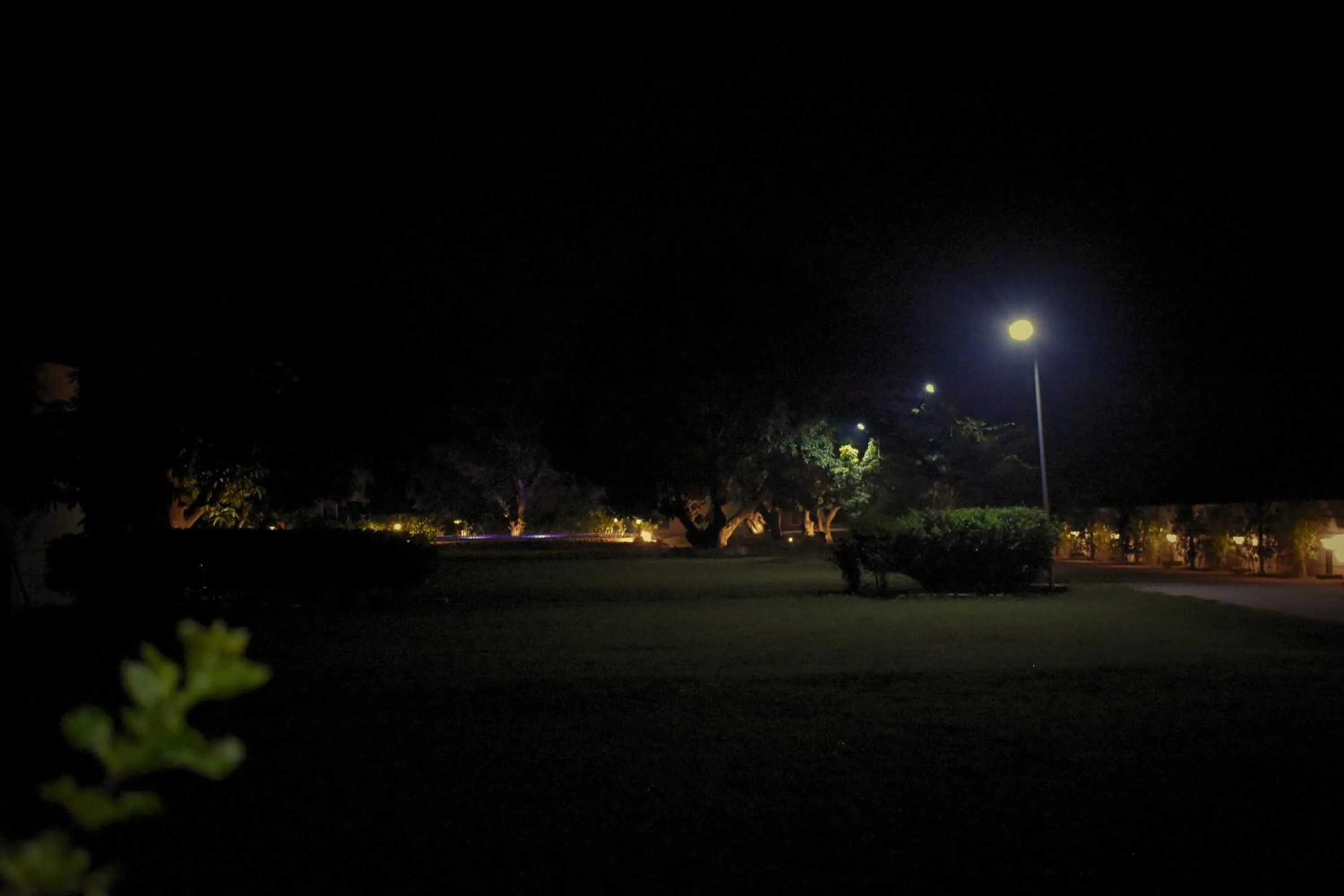 Night in The Greenwich resort