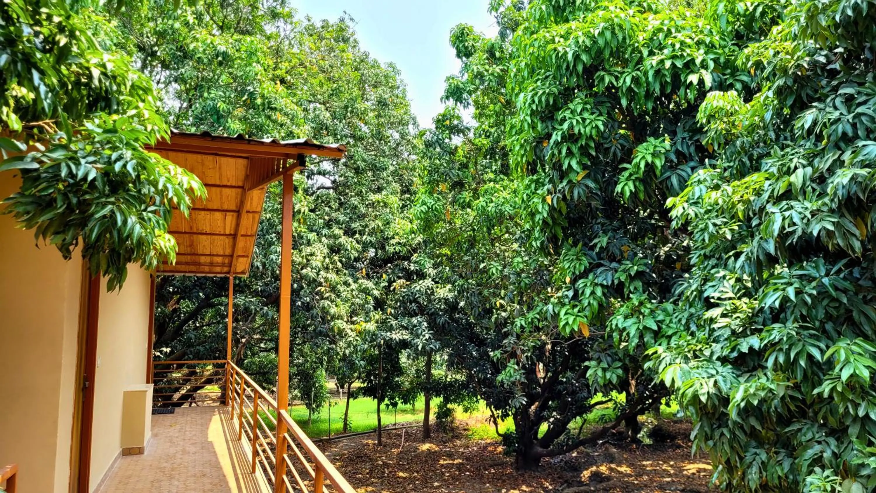 Spring in The Greenwich resort