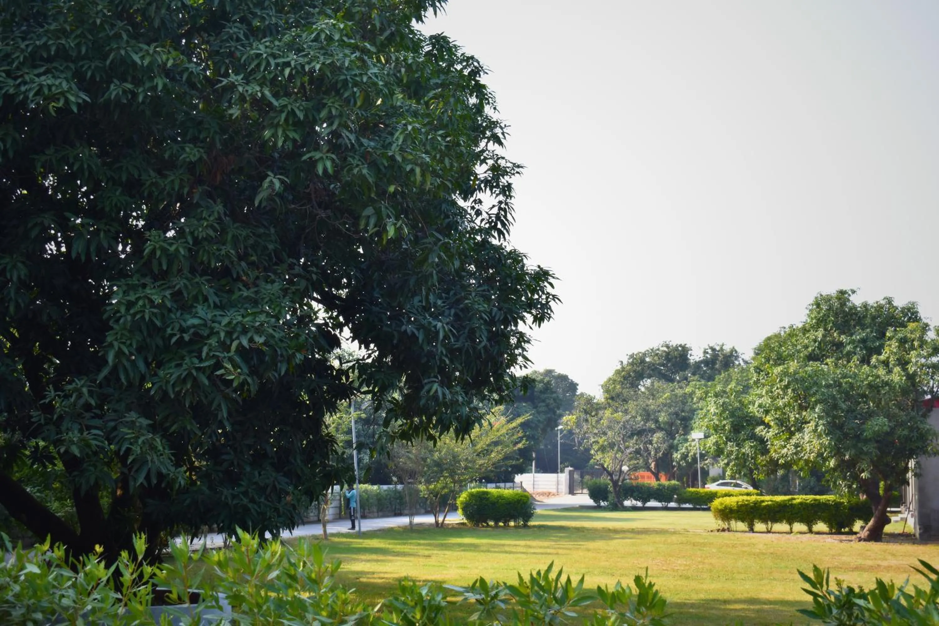 View (from property/room) in The Greenwich resort