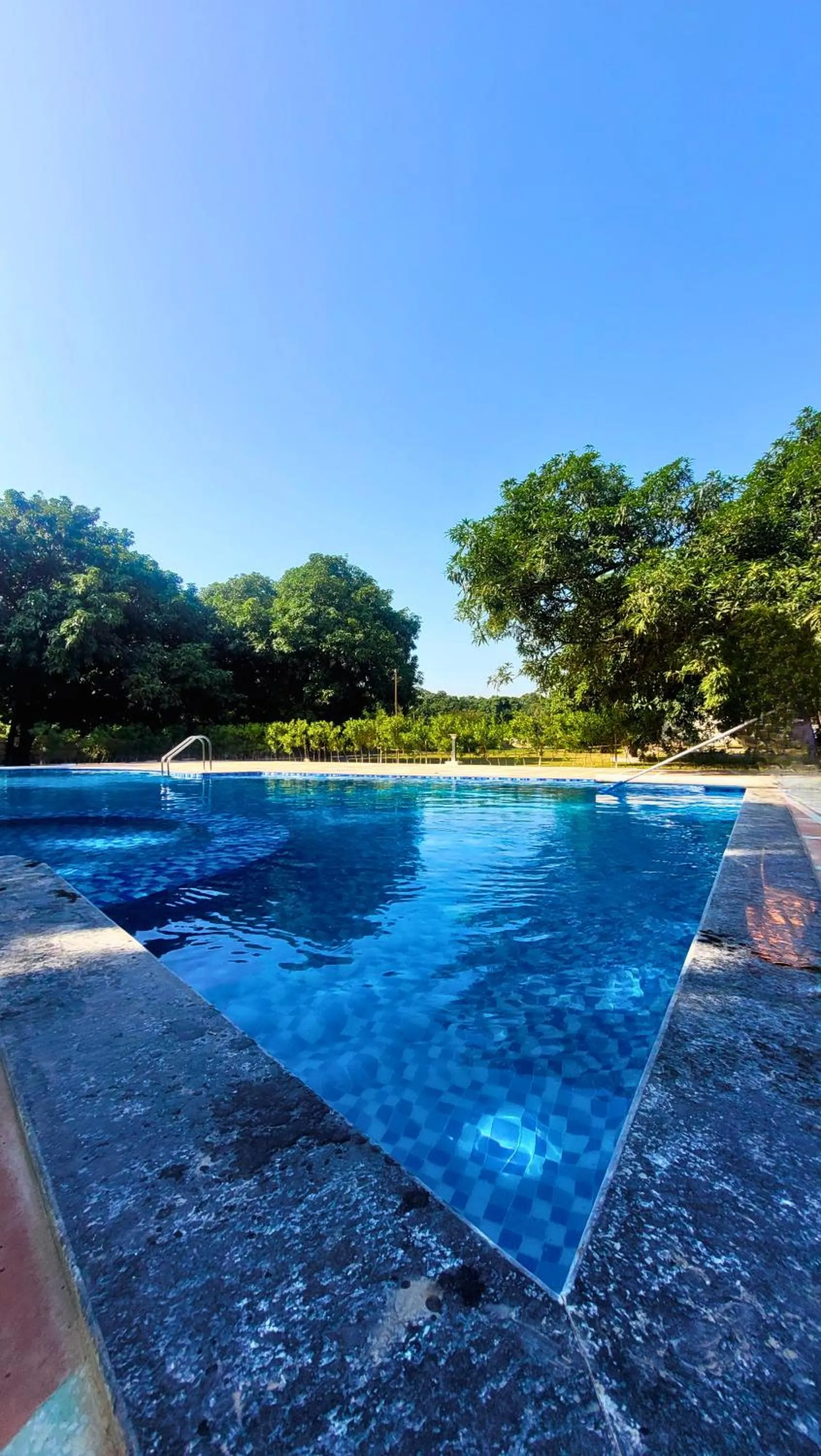 Swimming pool in The Greenwich resort