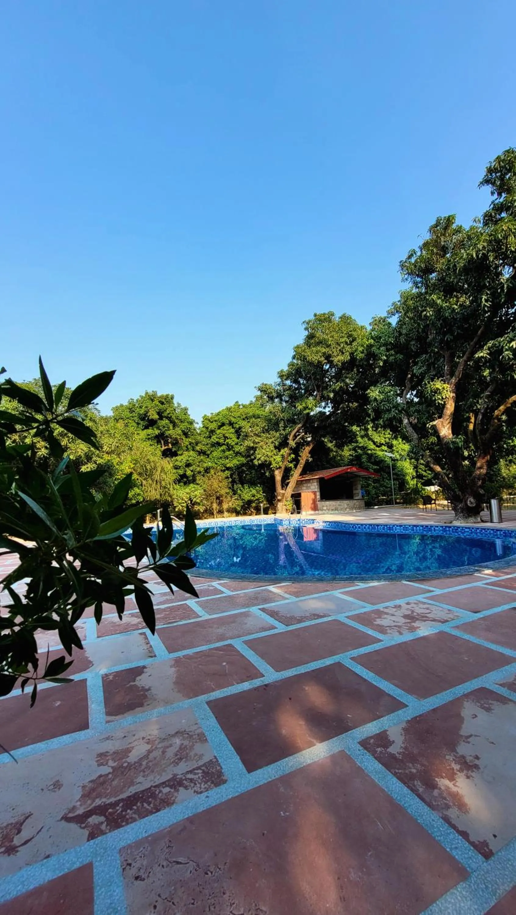 Swimming pool in The Greenwich resort