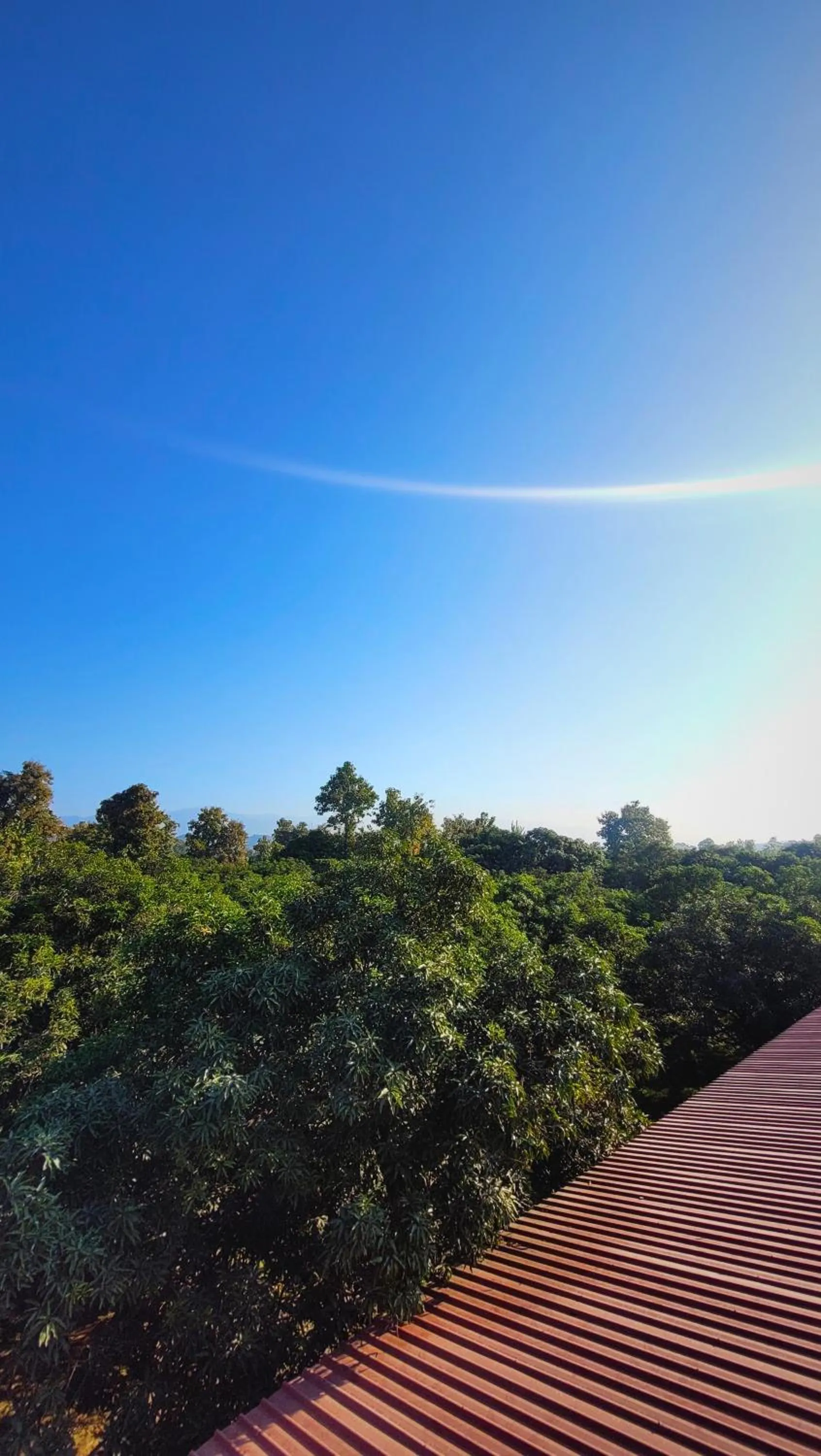 View (from property/room) in The Greenwich resort