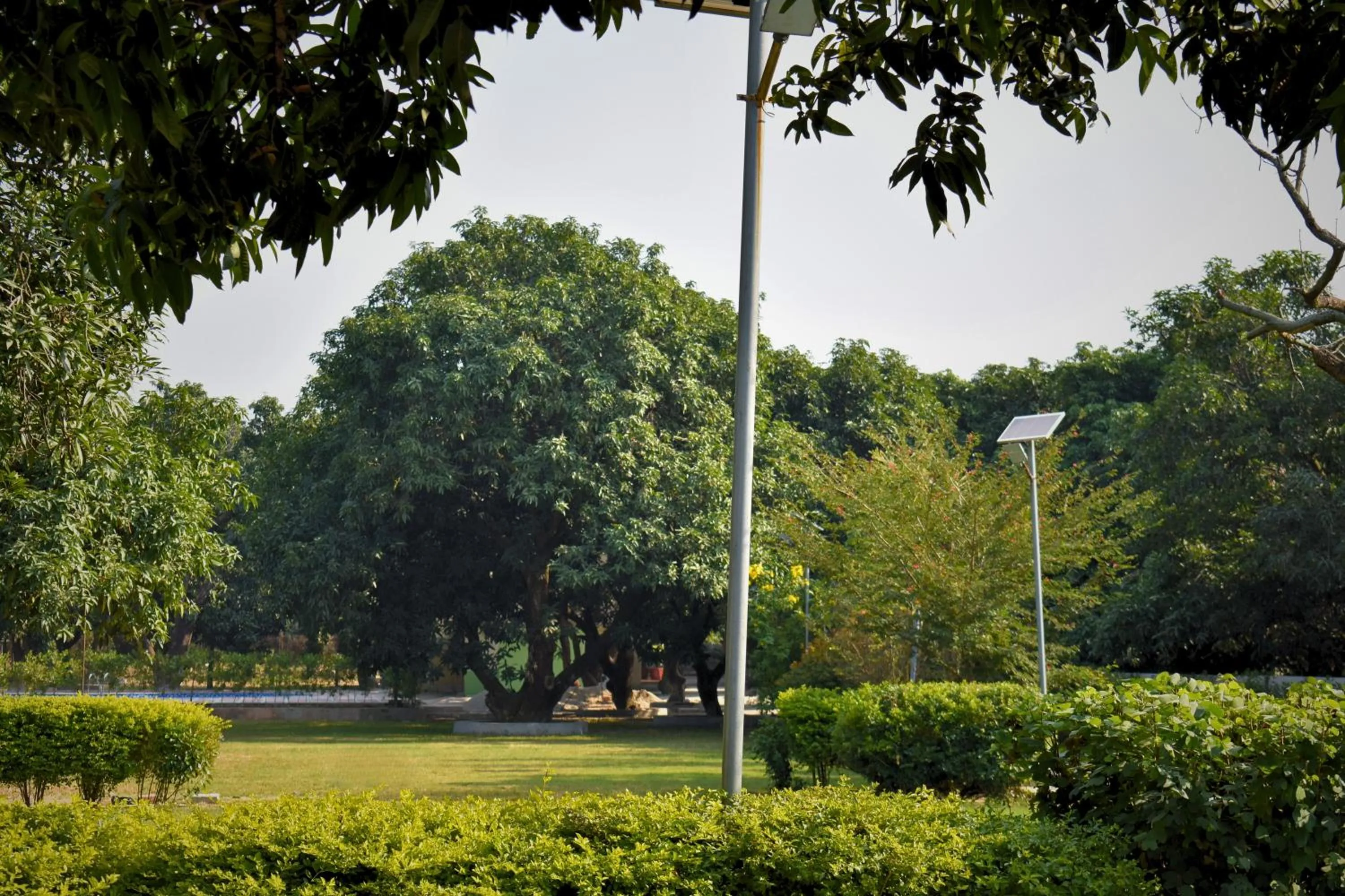 Garden in The Greenwich resort