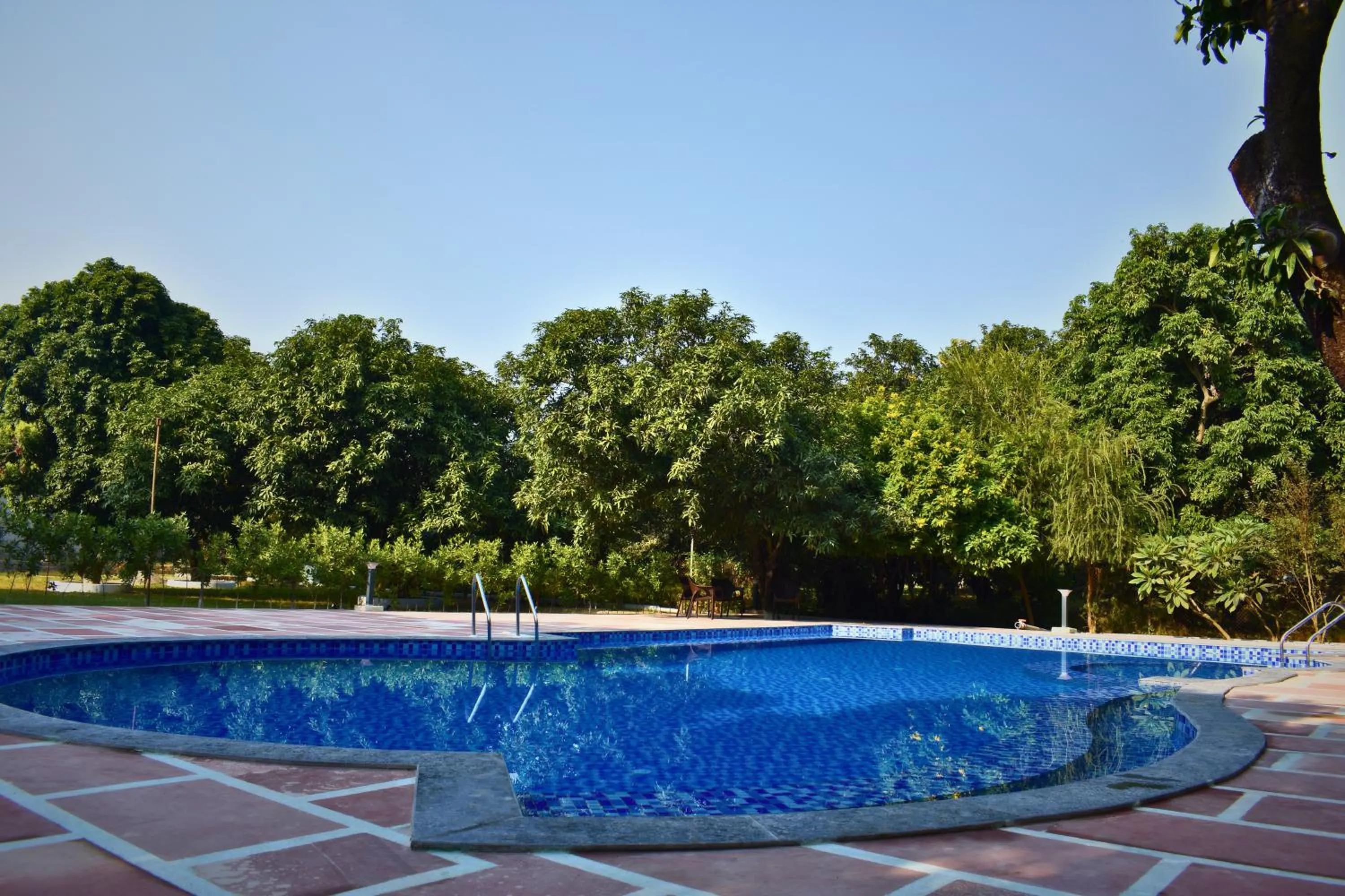 Swimming pool in The Greenwich resort