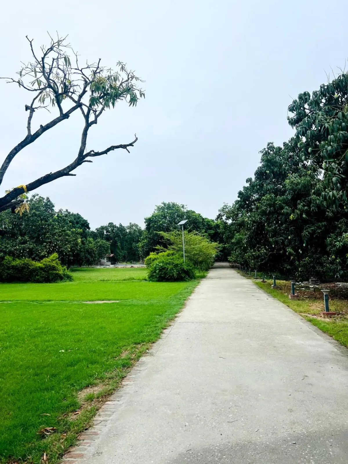 Garden in The Greenwich resort