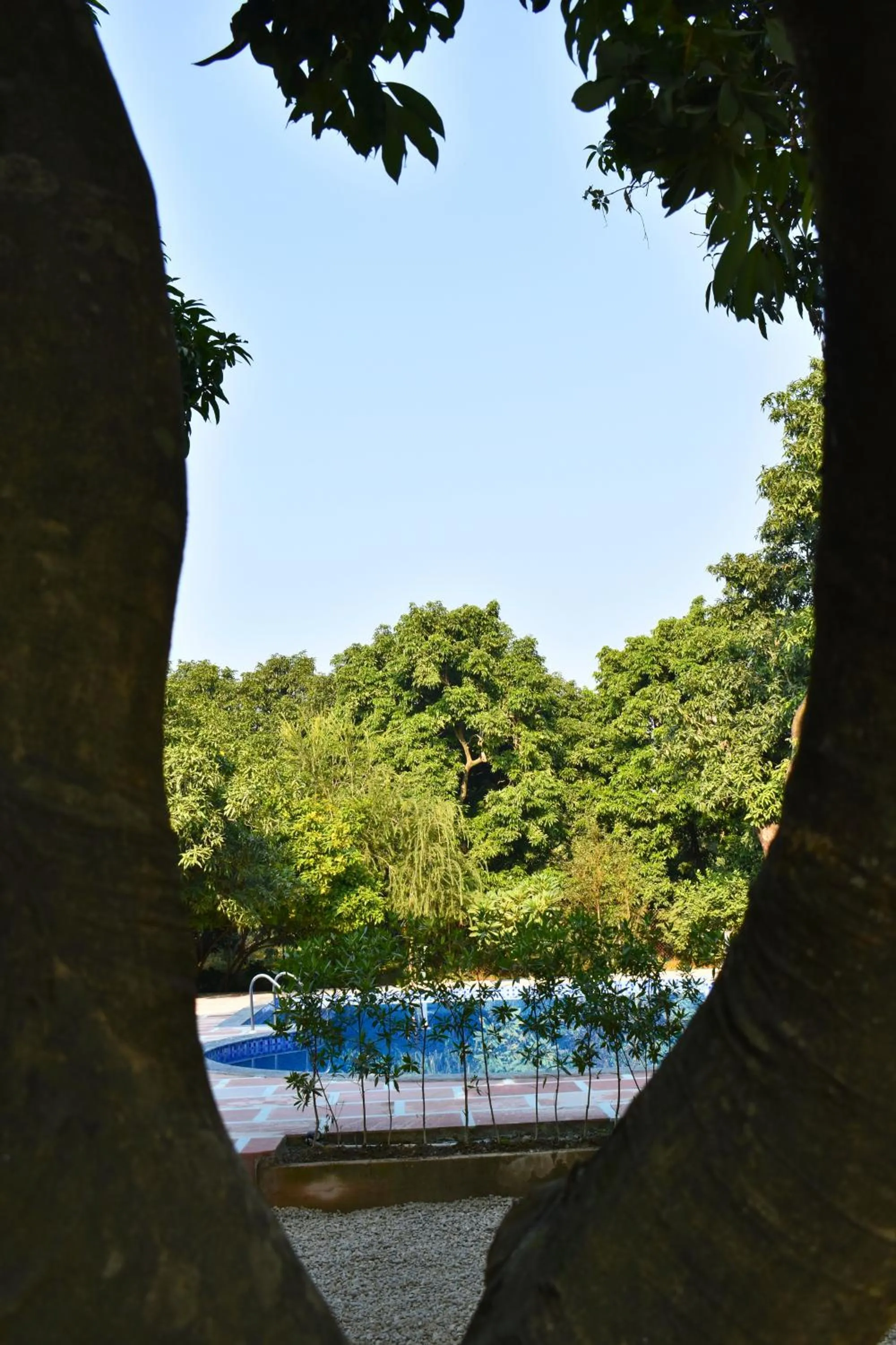 Pool view in The Greenwich resort