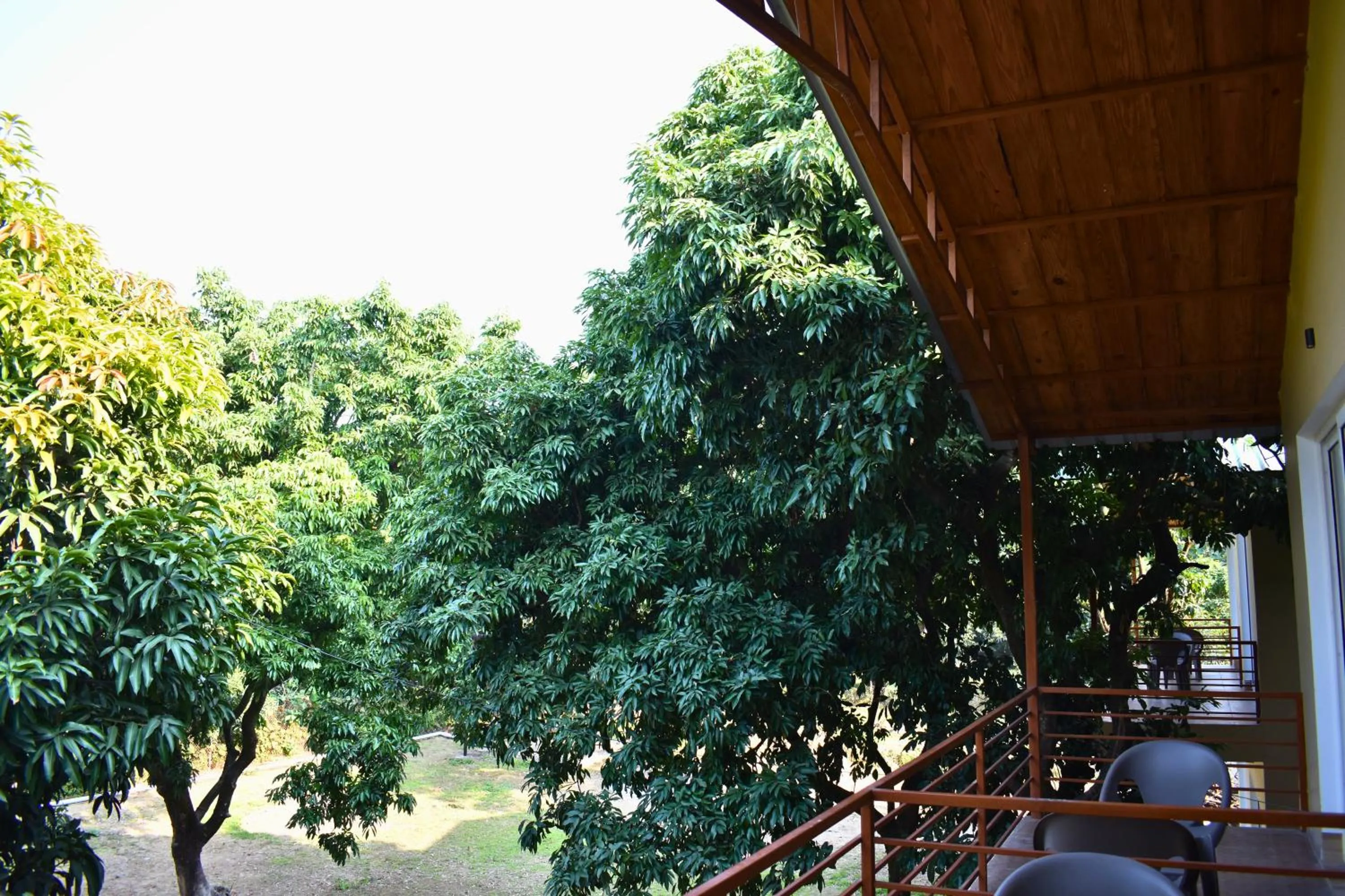 Balcony/Terrace in The Greenwich resort
