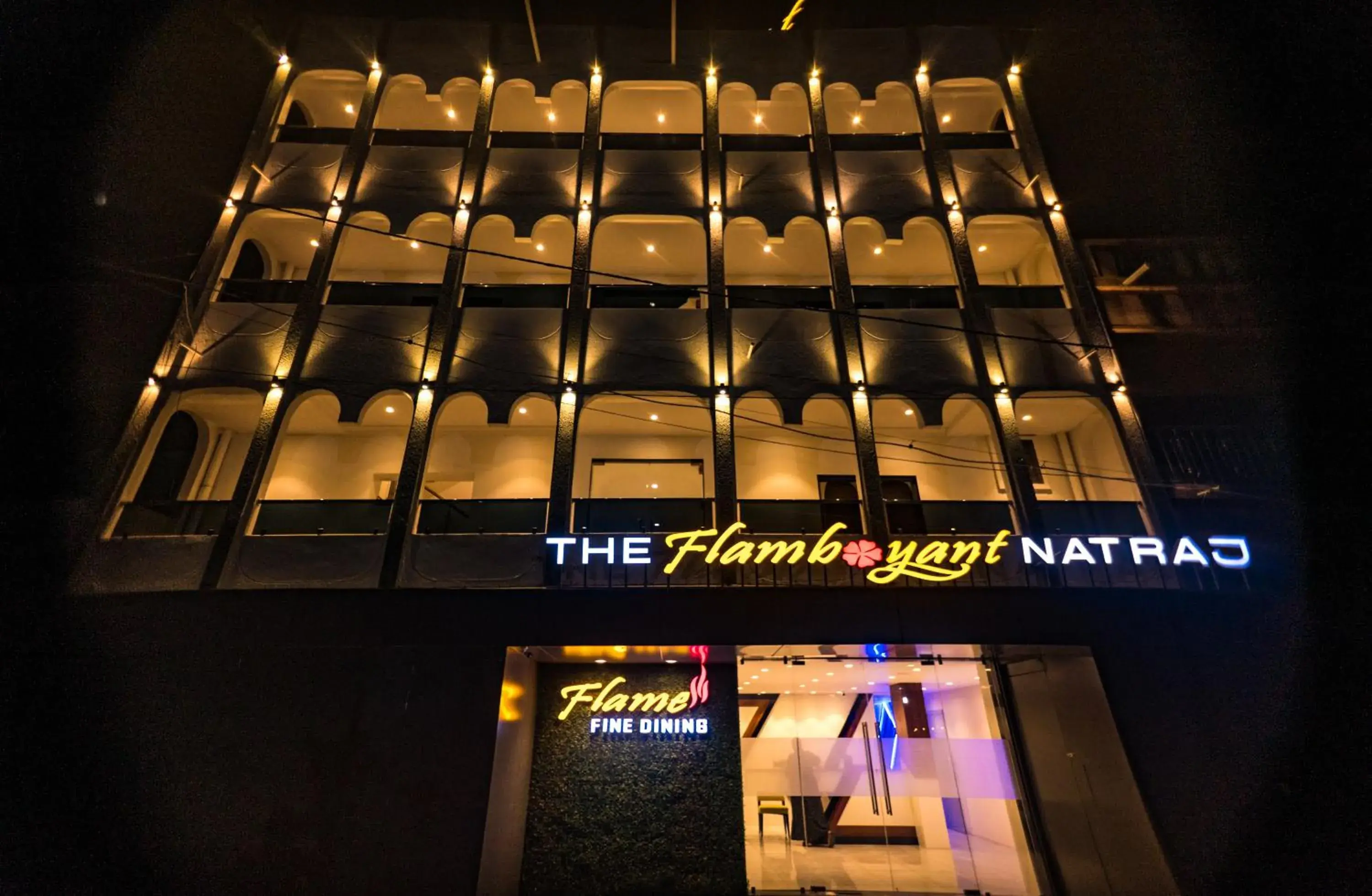 The Flamboyant Natraj The Flamboyant Natraj