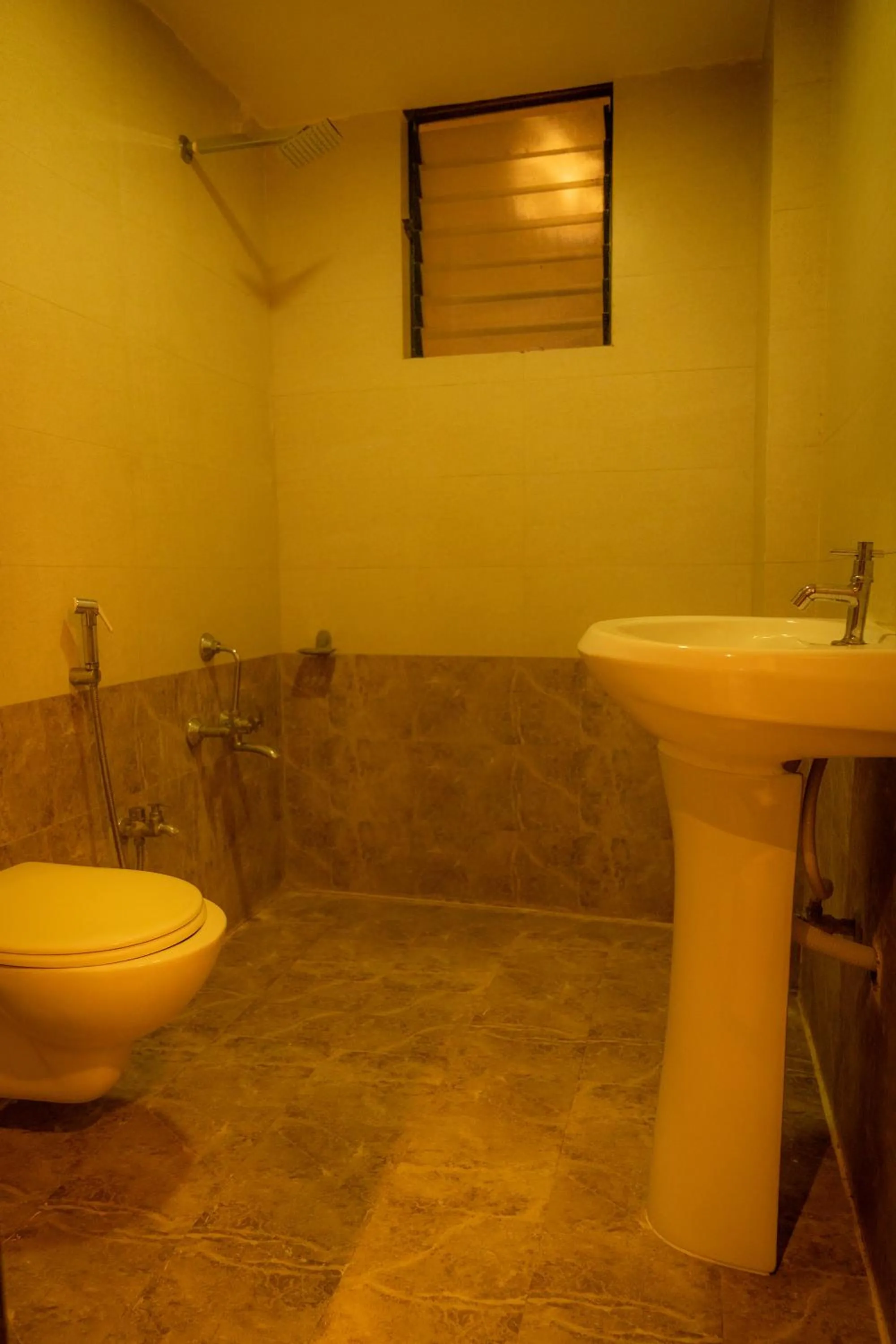 Toilet in The Flamboyant Natraj