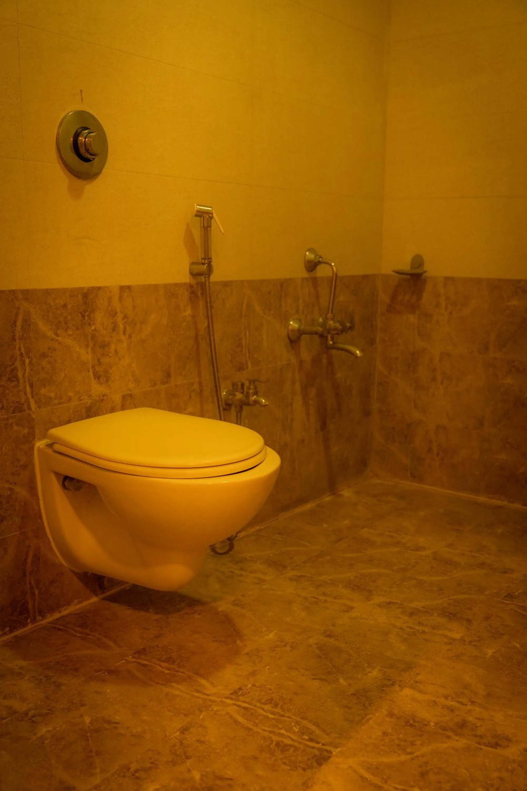 Toilet in The Flamboyant Natraj