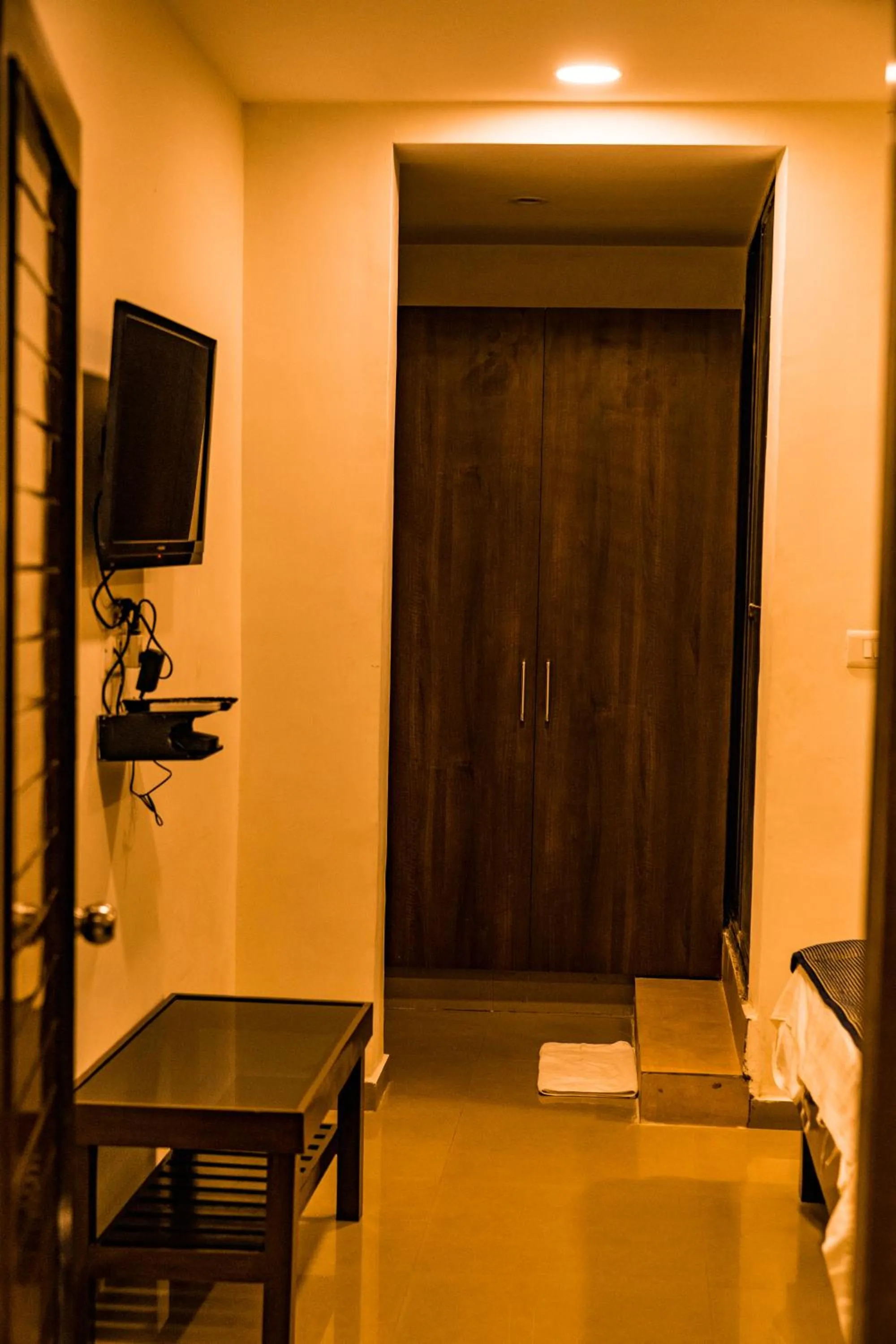 TV and multimedia in The Flamboyant Natraj