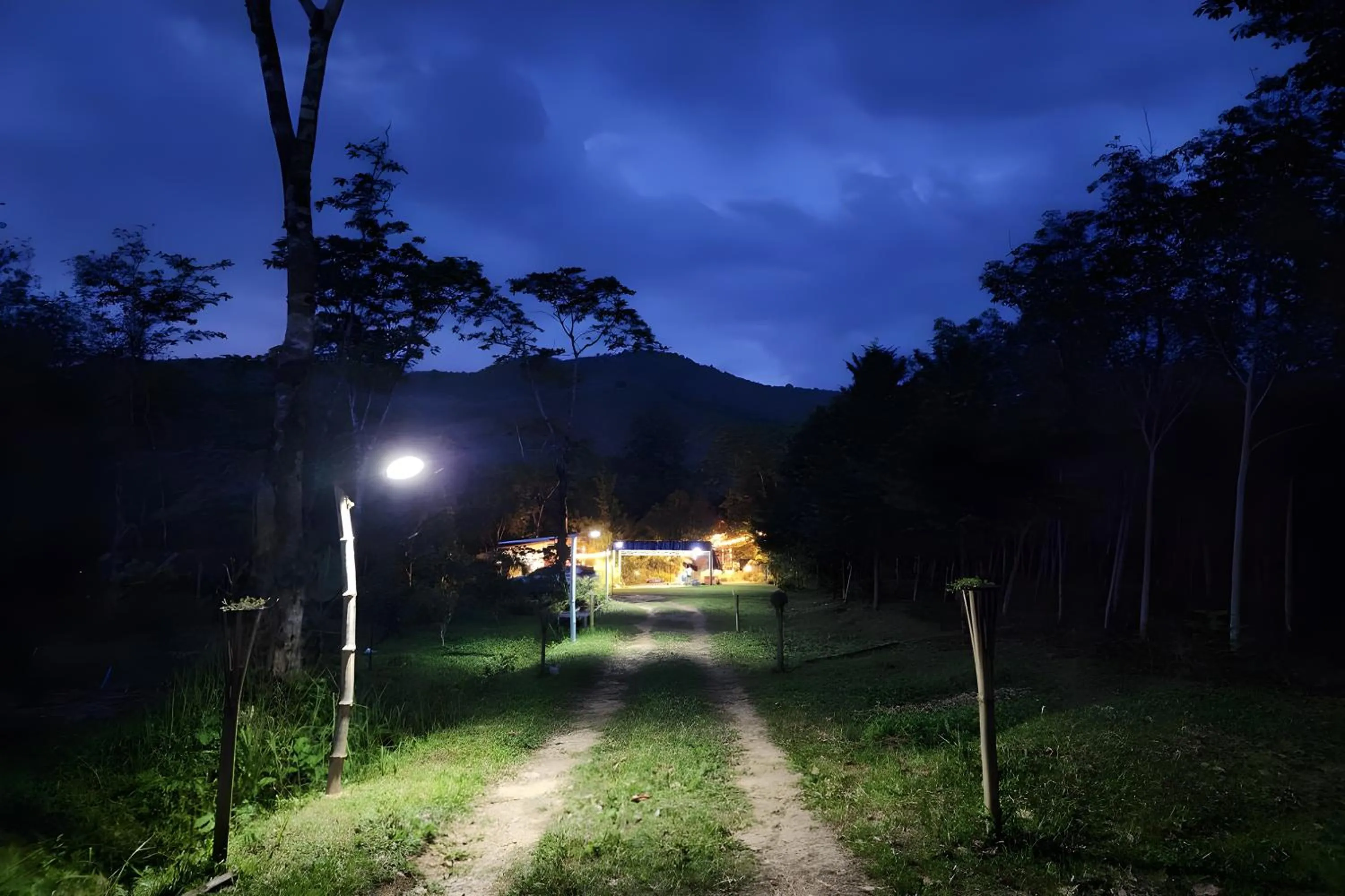 Natural landscape in Rat Min House