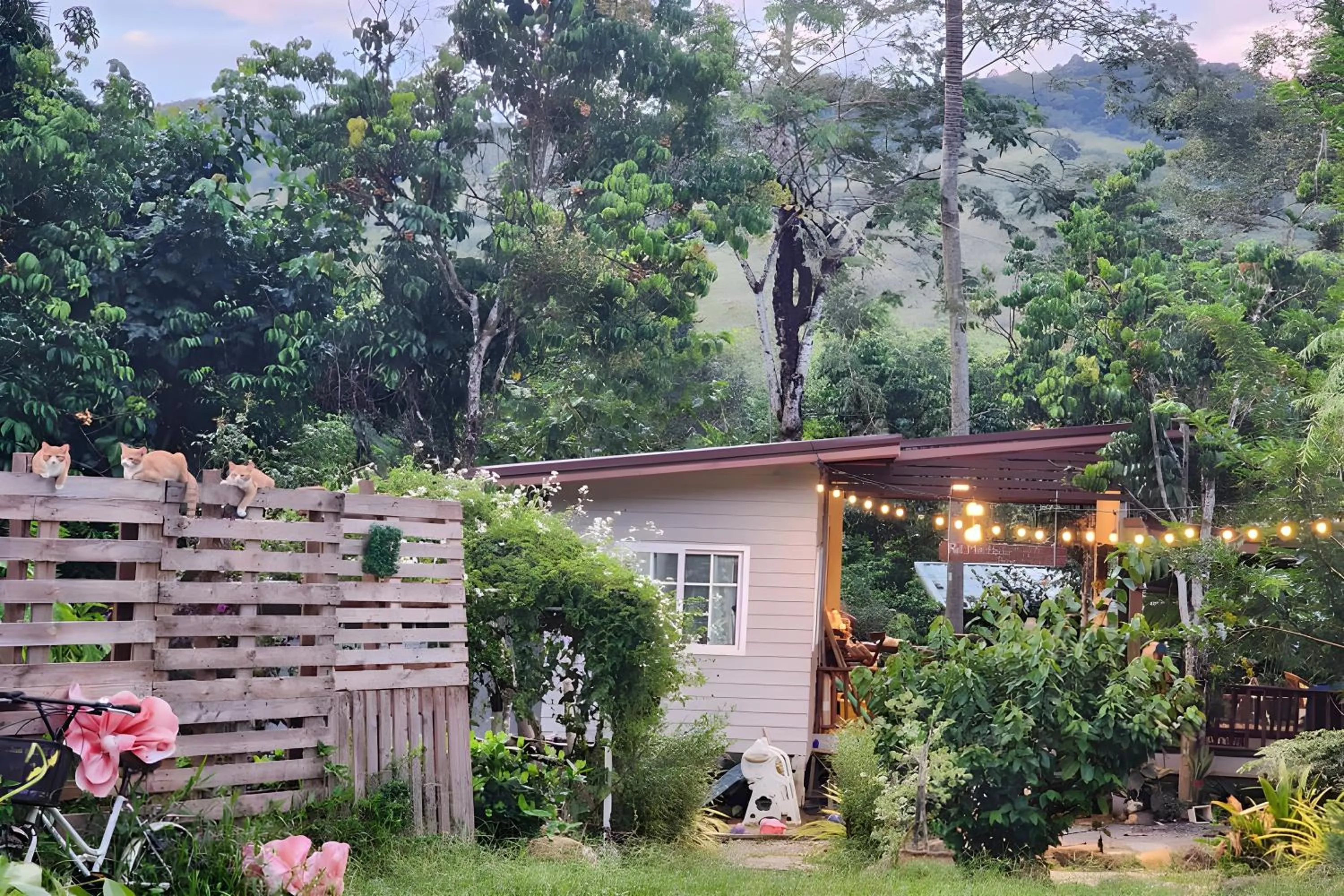 Property building in Rat Min House