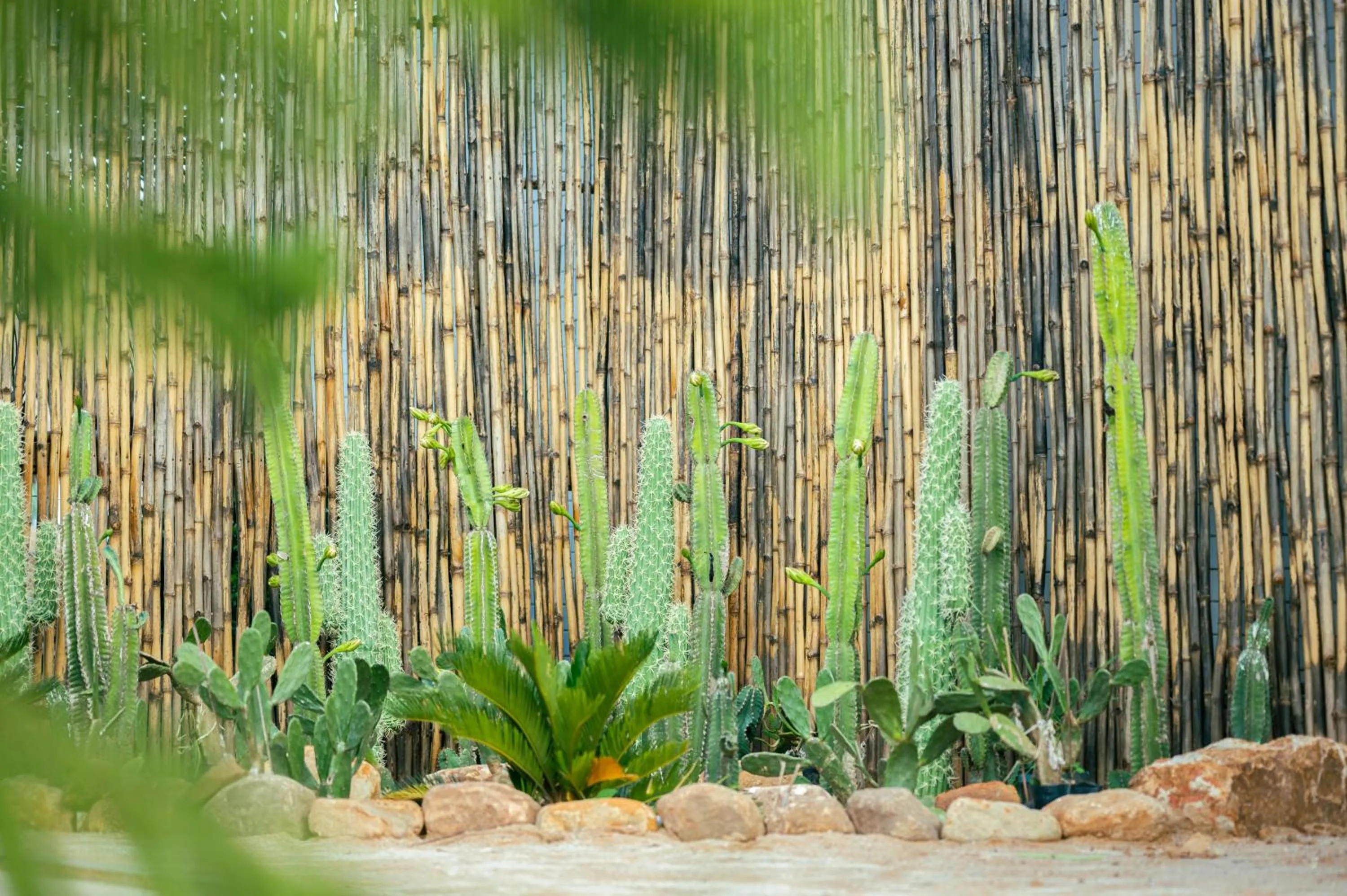 Nirk Kampot Boutique