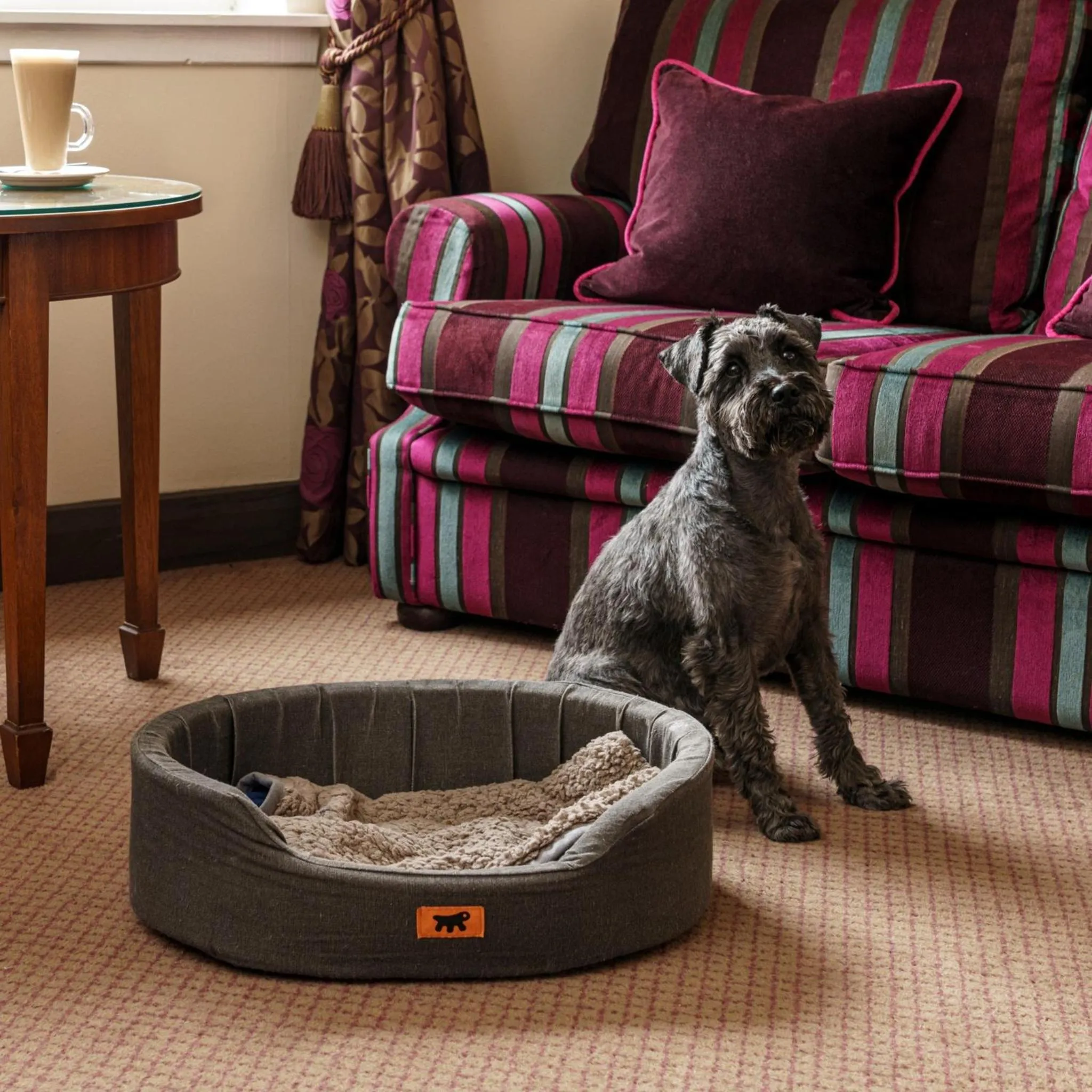 pet friendly in Macdonald Hill Valley Hotel, Spa & Golf Resort