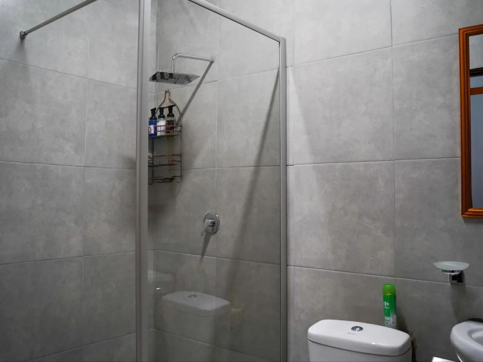 Shower in Aqua Guest House